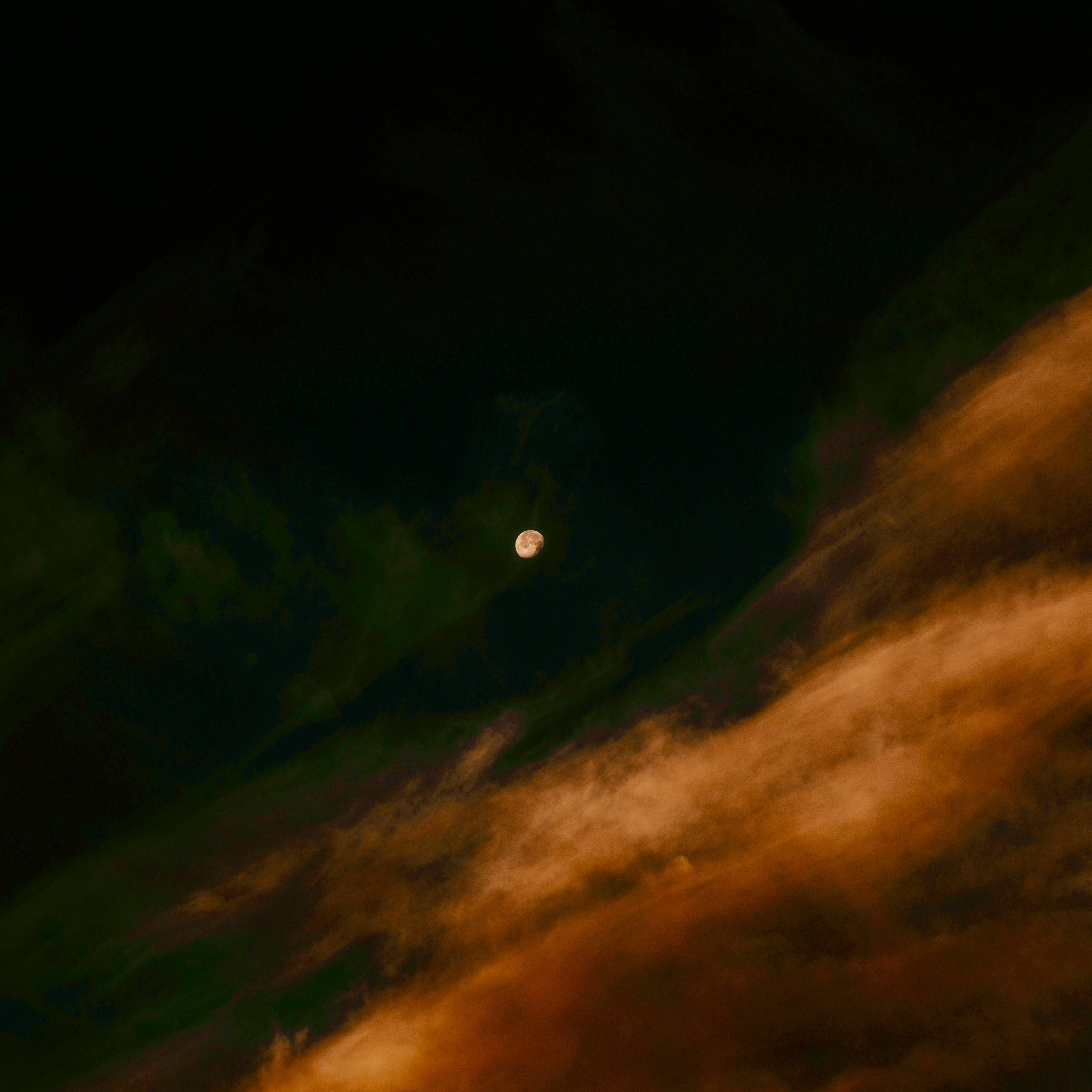 WAVY artwork