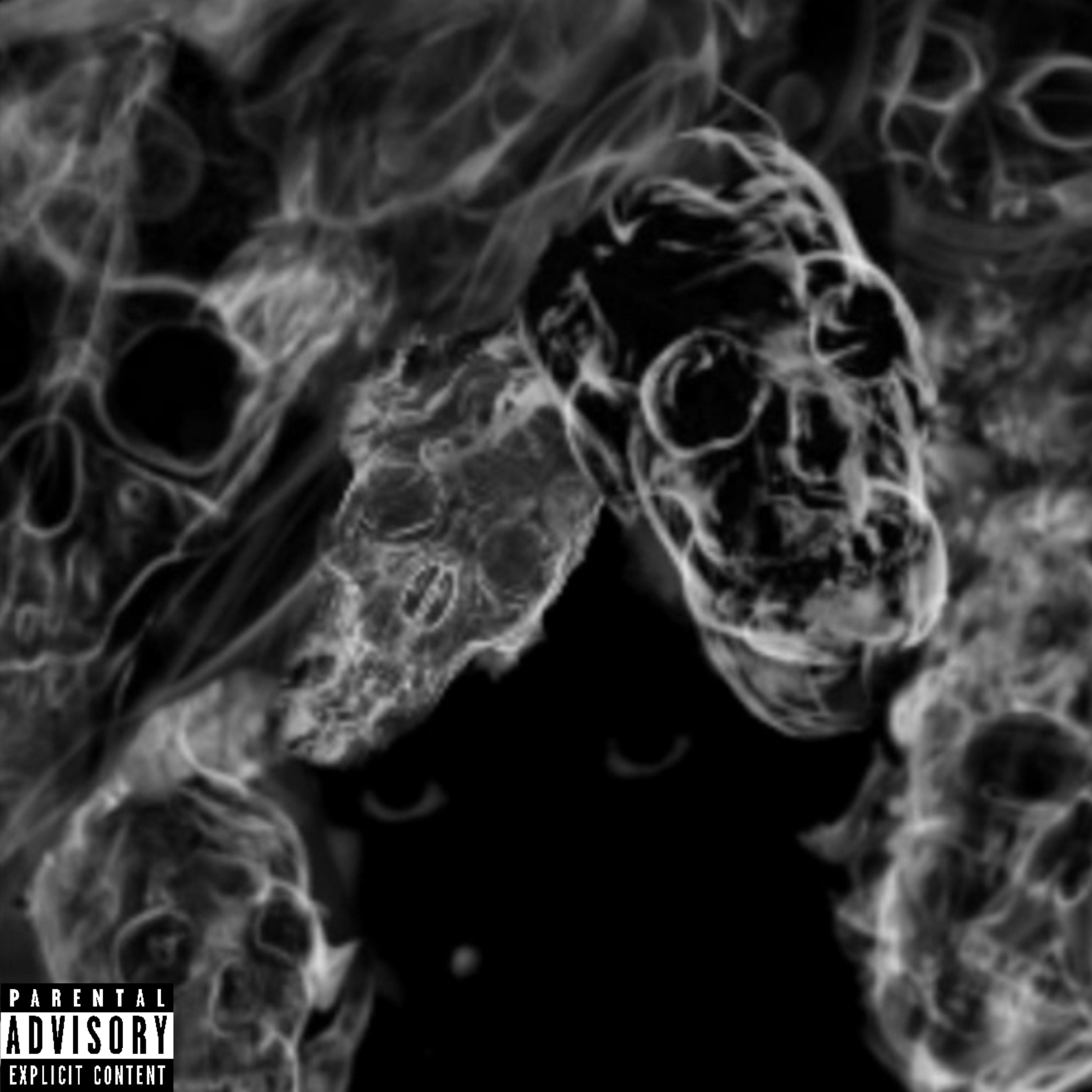 Perkalations (Reloaded) artwork