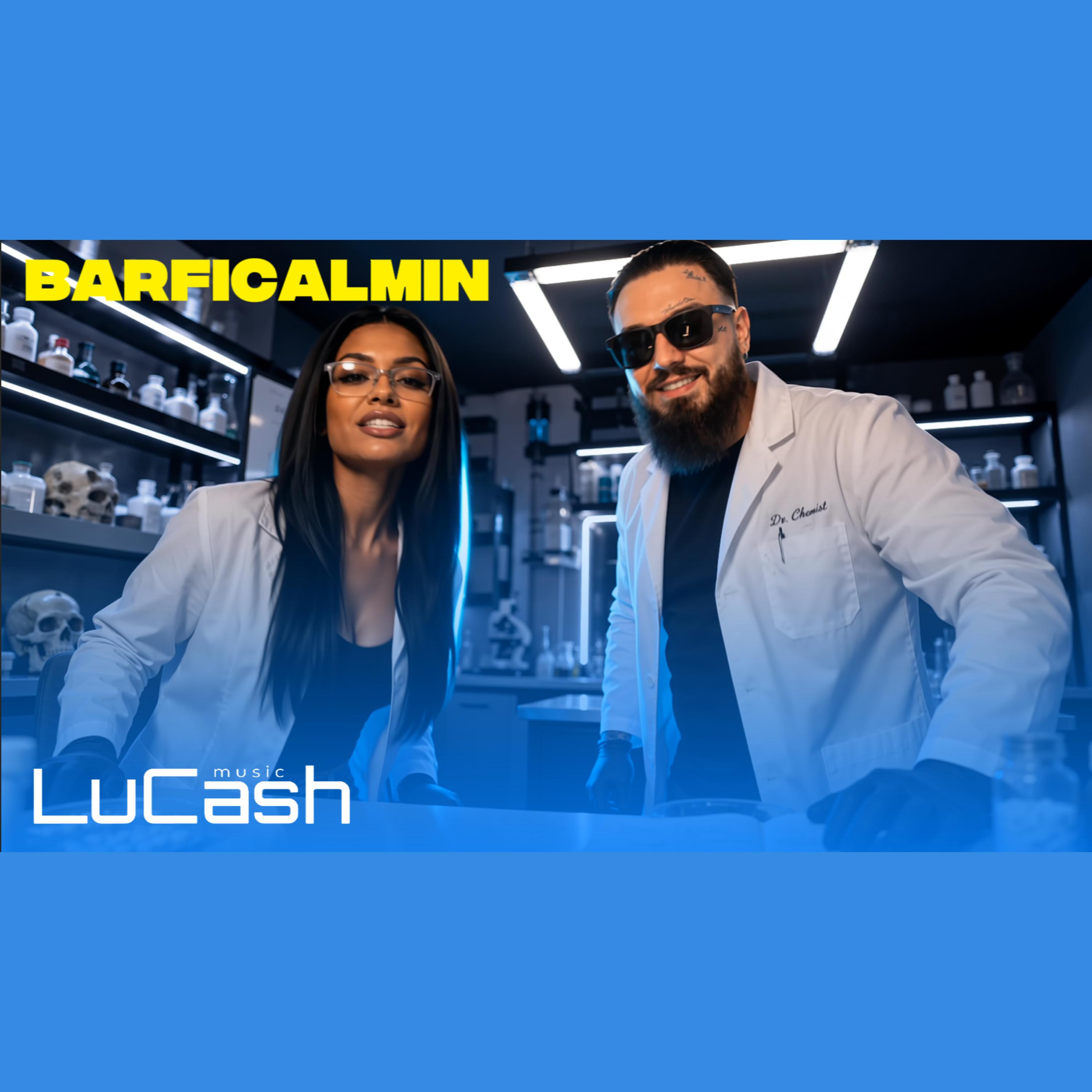 Barficalmin by LuCash Music cover art