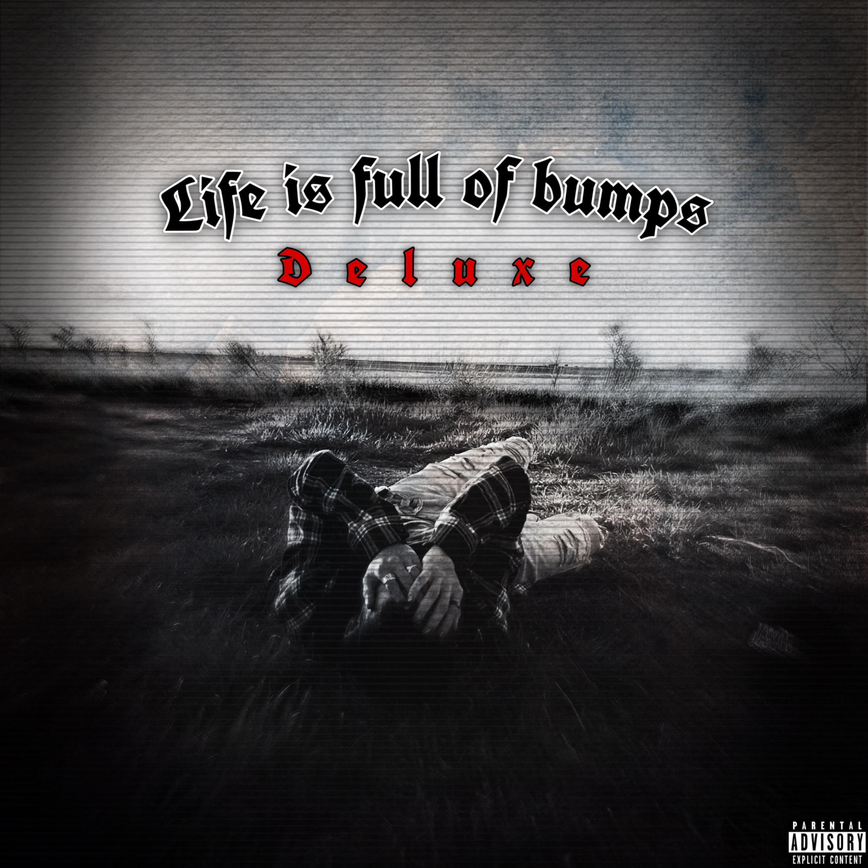 Life is Full of Bumps (Deluxe) artwork
