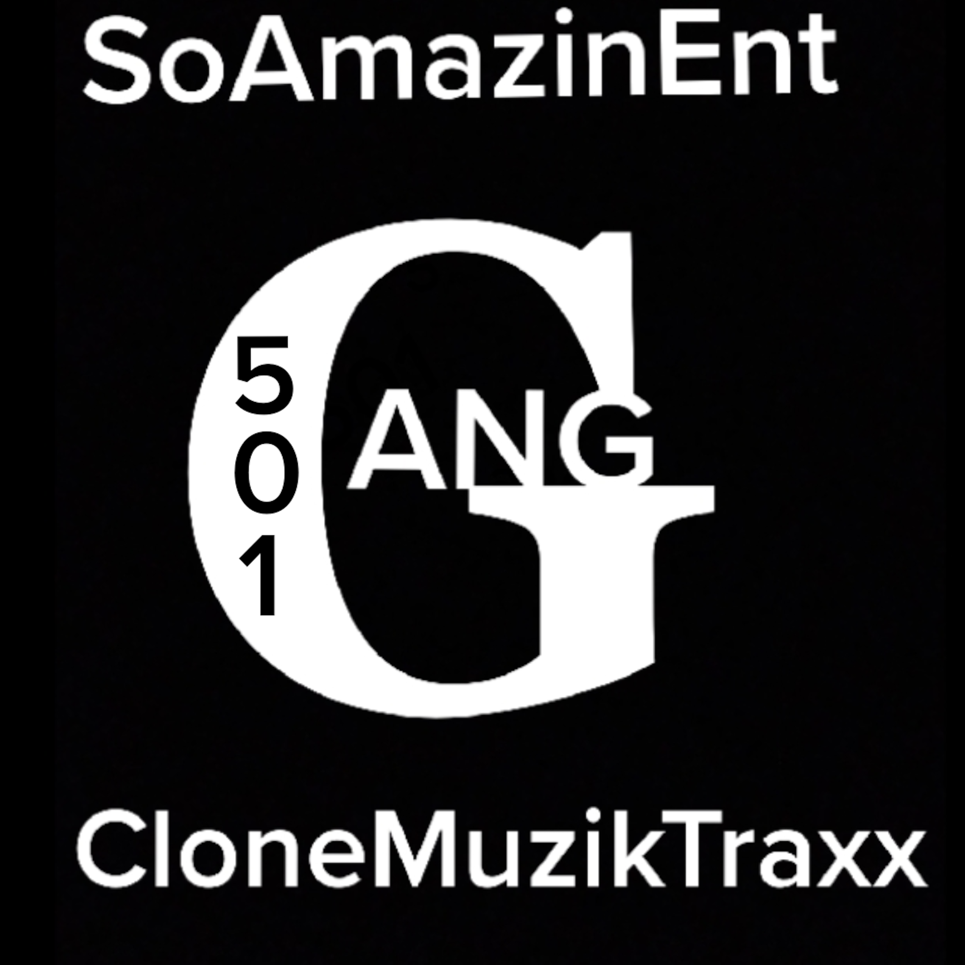 501 GANG CLONEMUSIK PT2 artwork