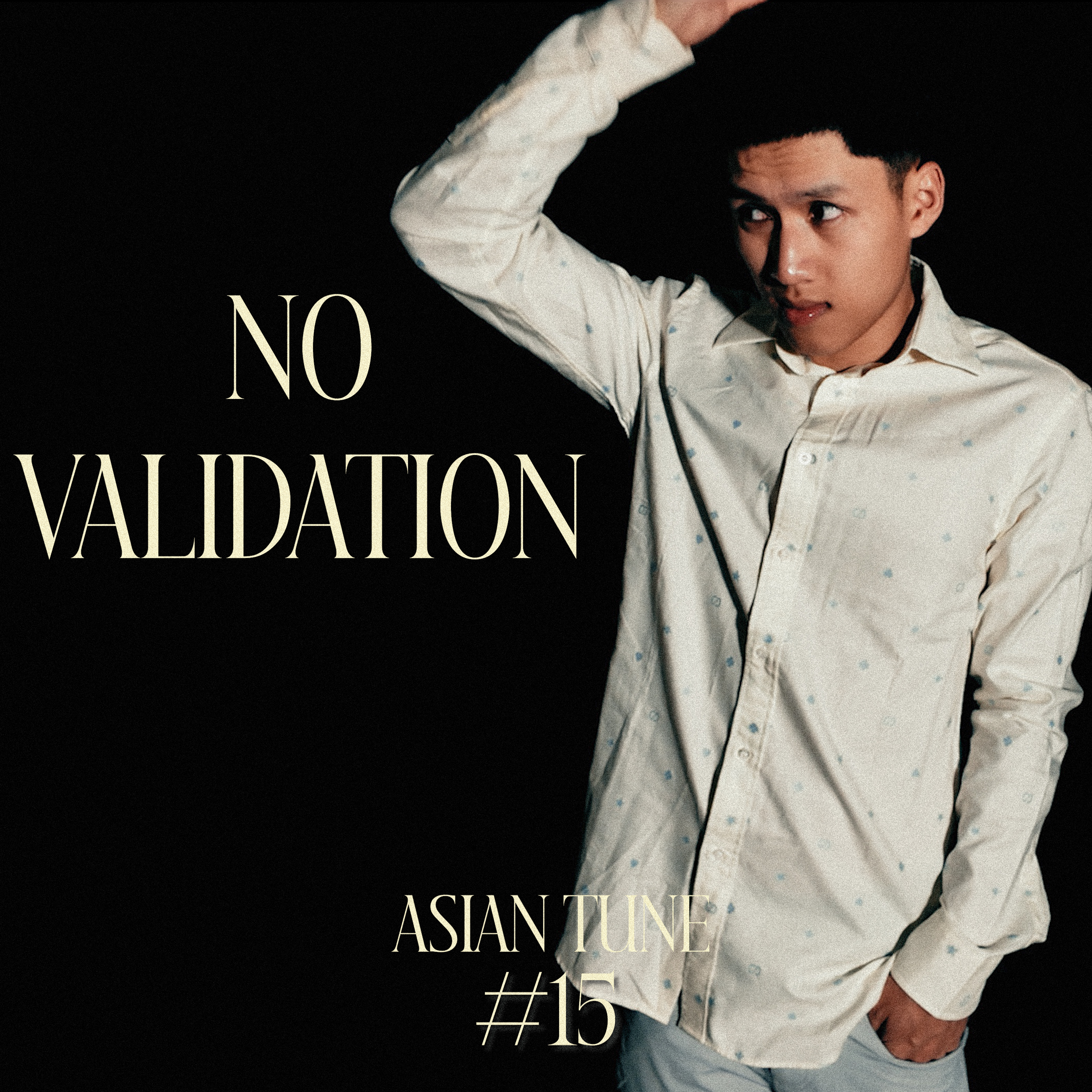 No Validation (Asian Tune #15) artwork