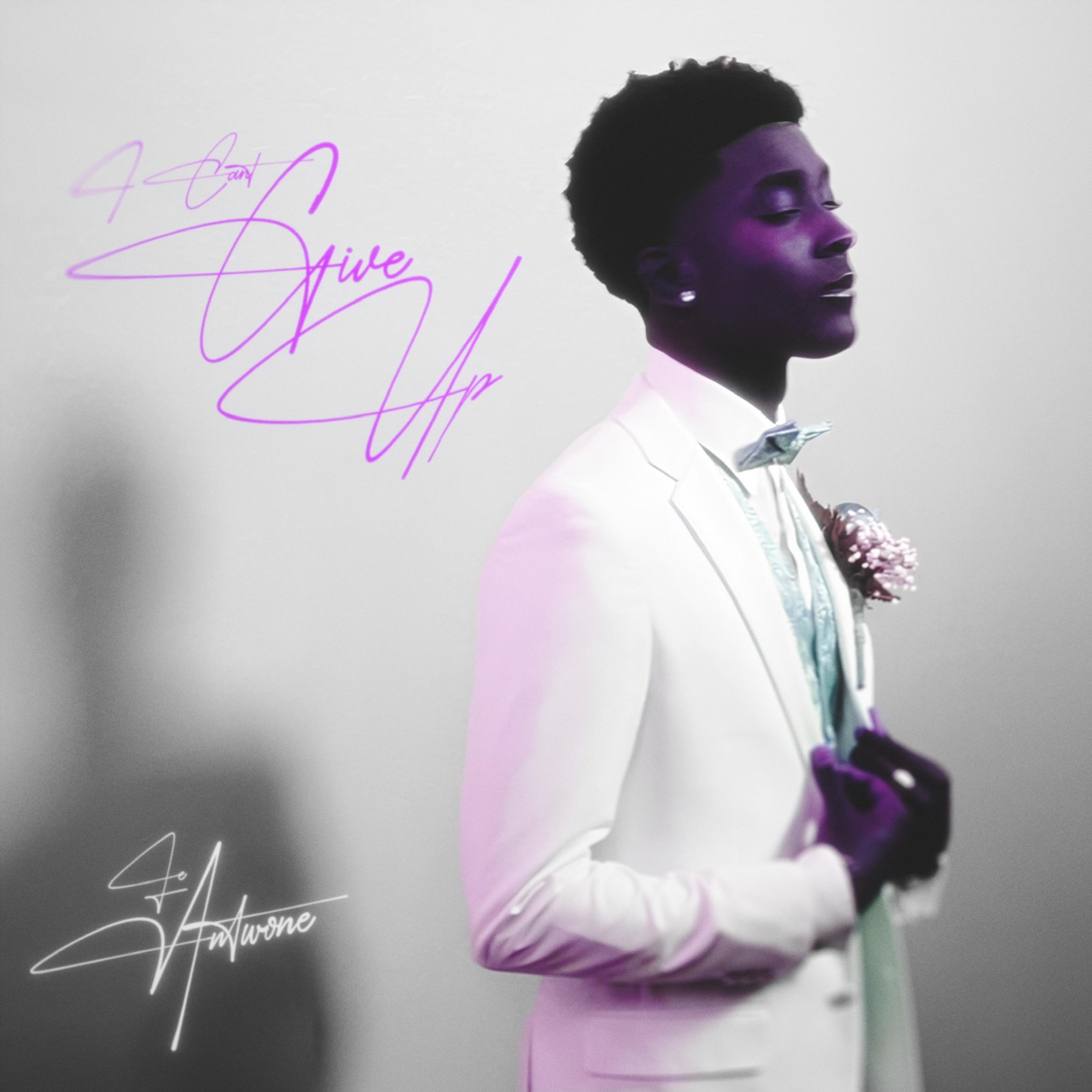Can’t Give Up artwork