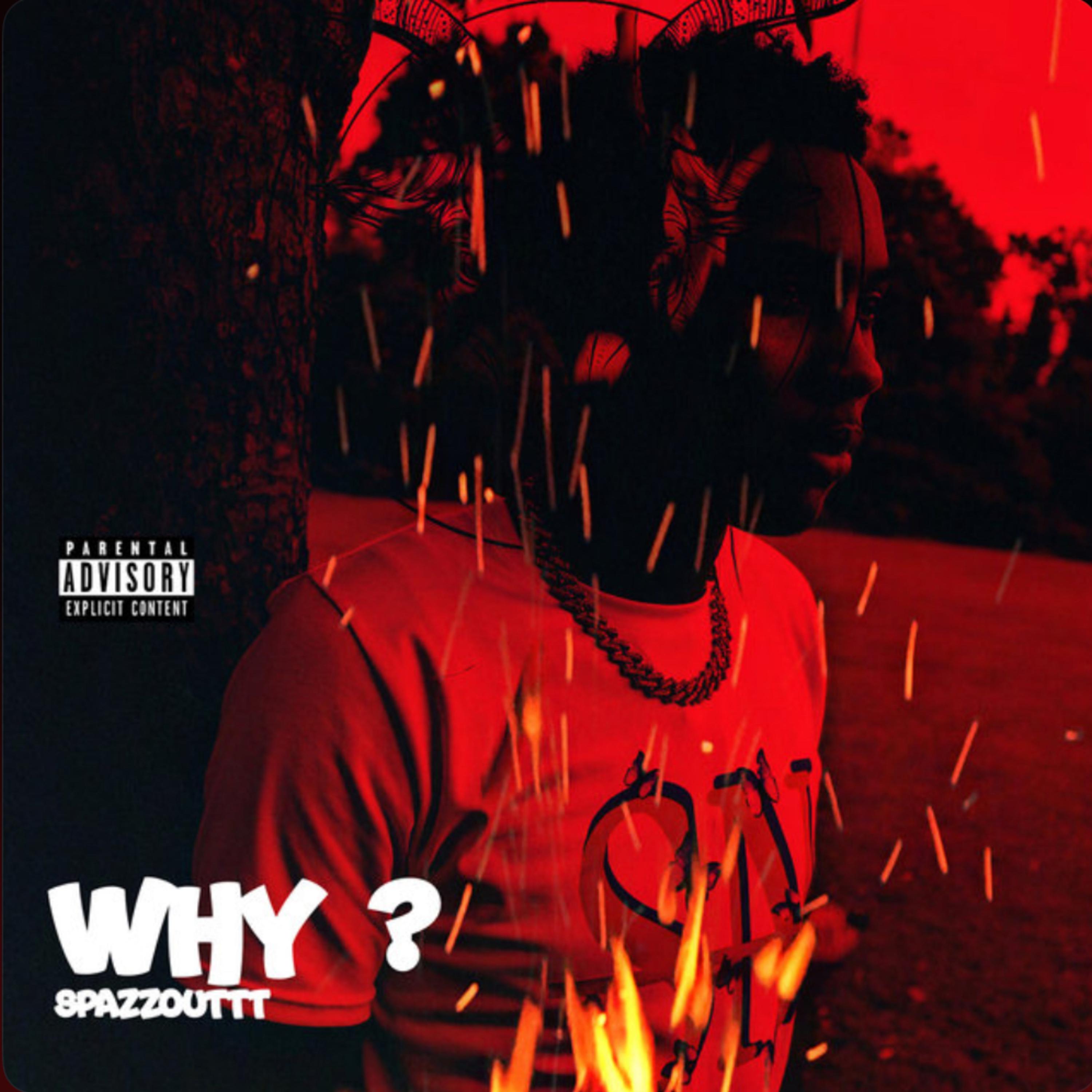 WHY? artwork