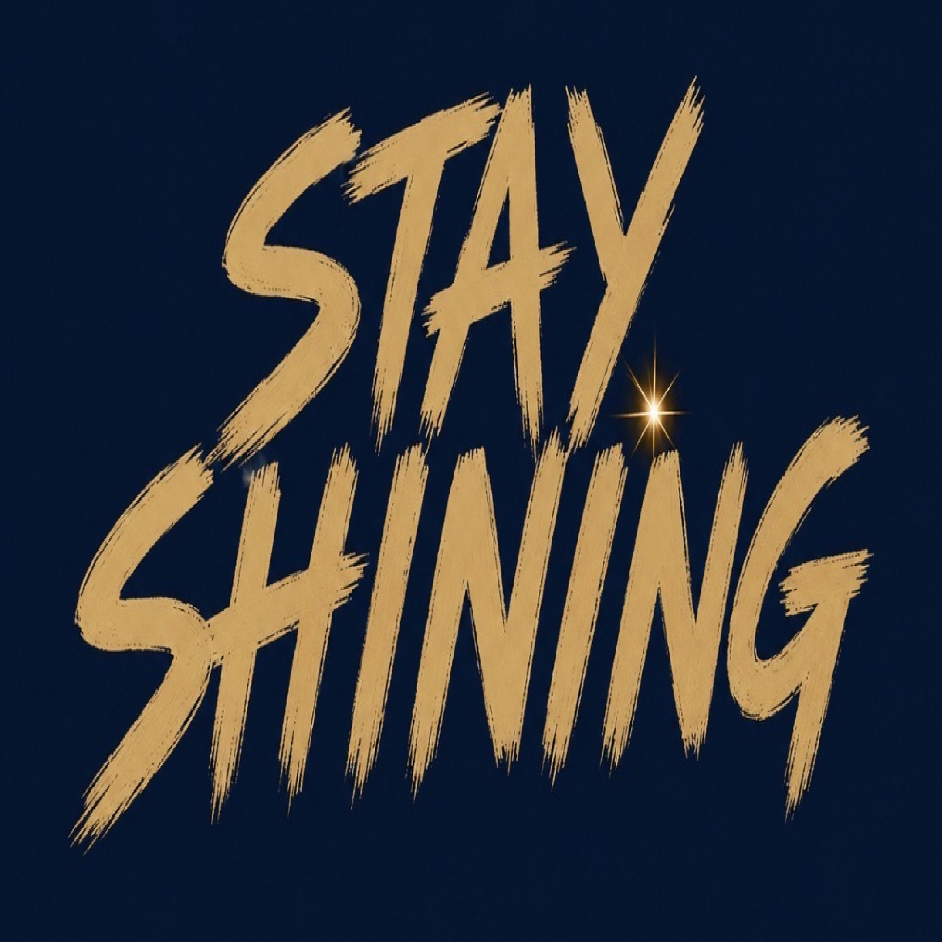stay shining by MD Cutup cover art