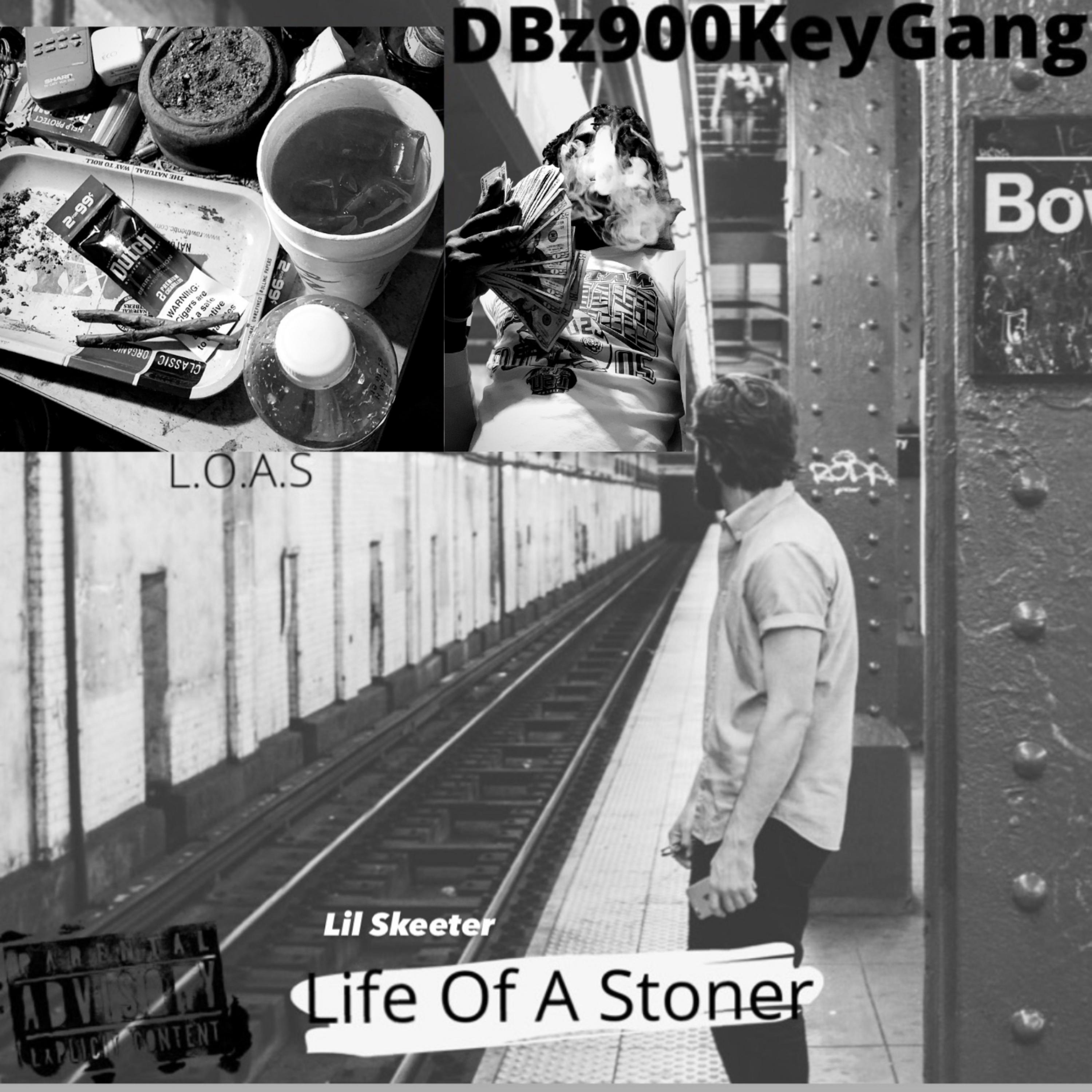 Life Of A Stoner artwork