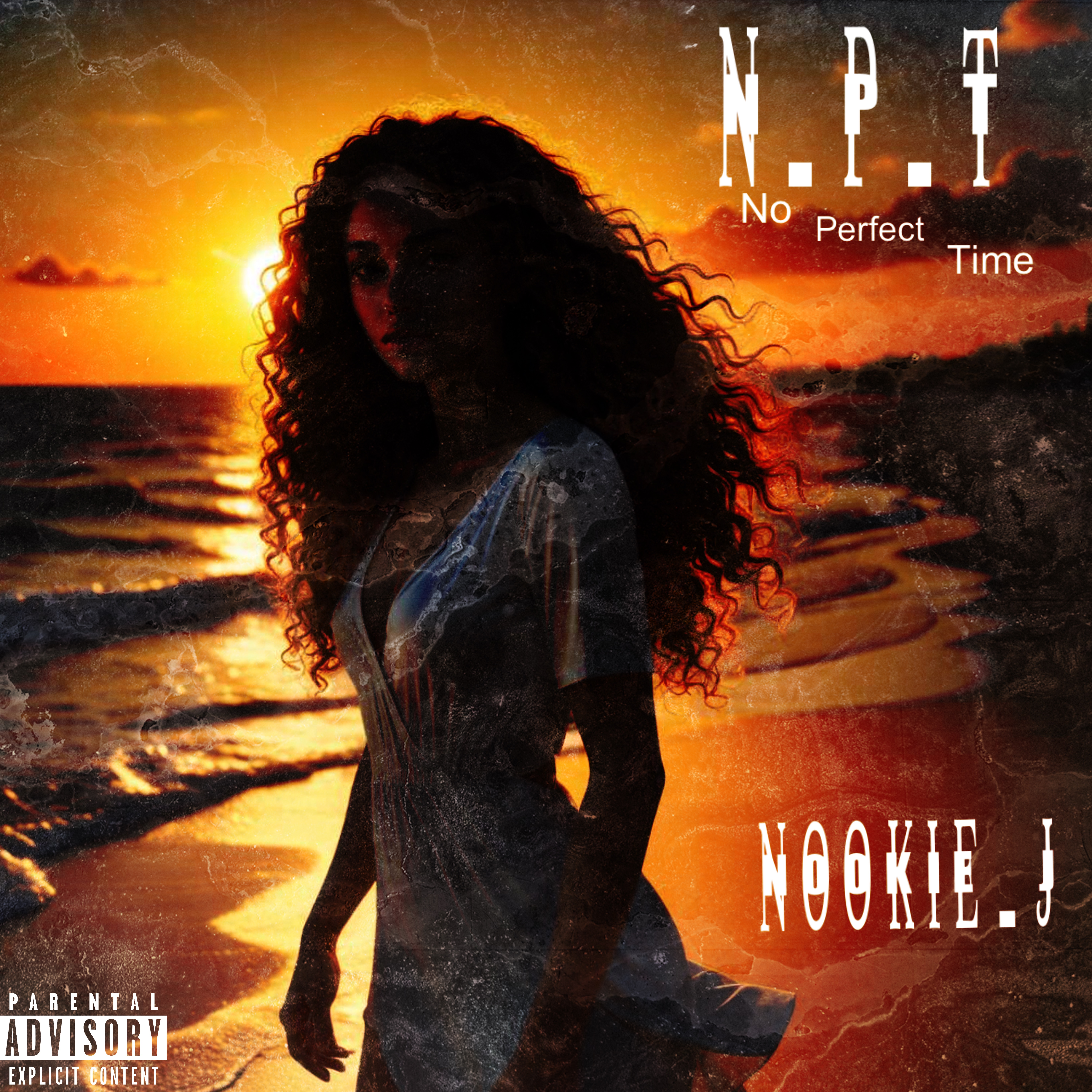 N.P.T artwork