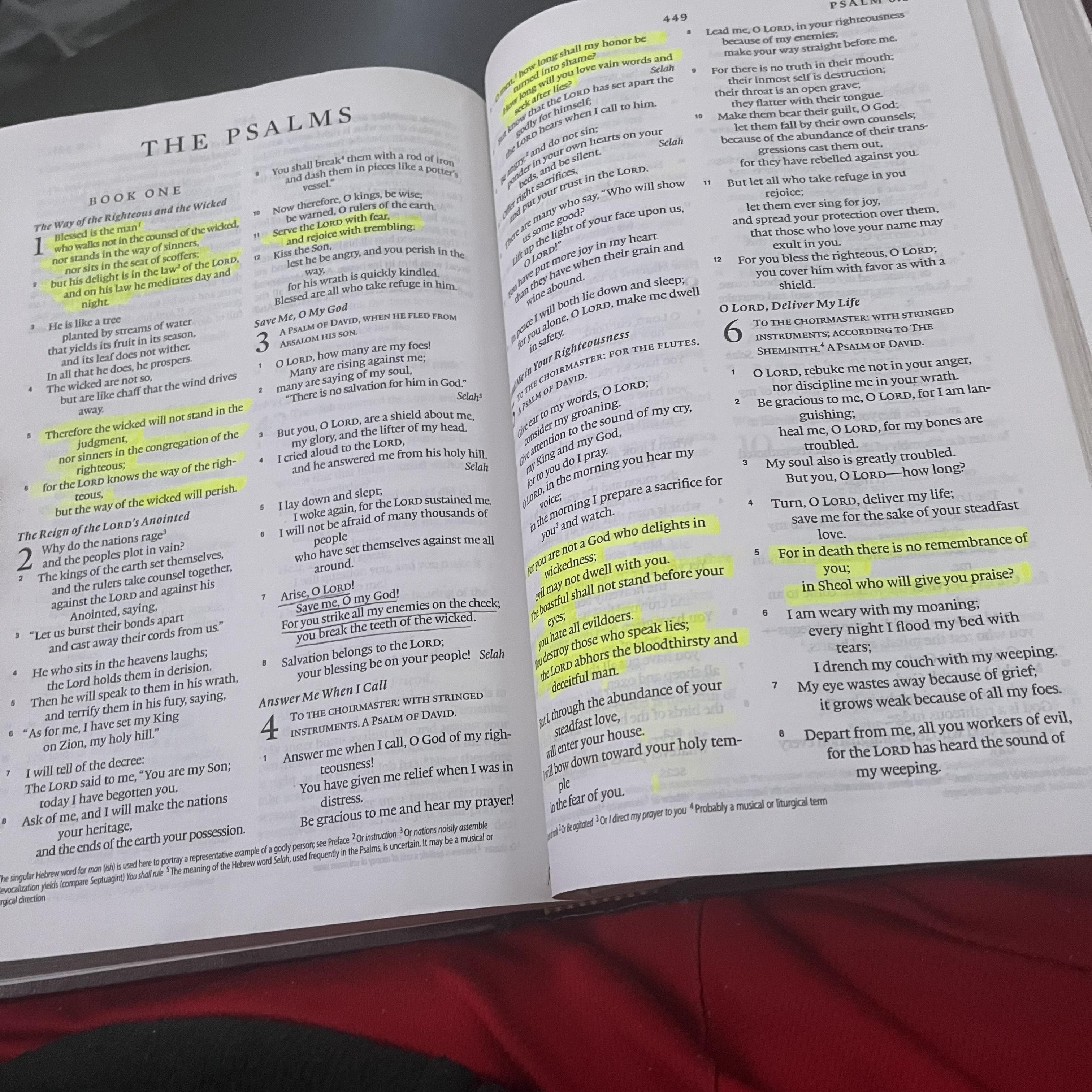 READING MY BIBLE artwork
