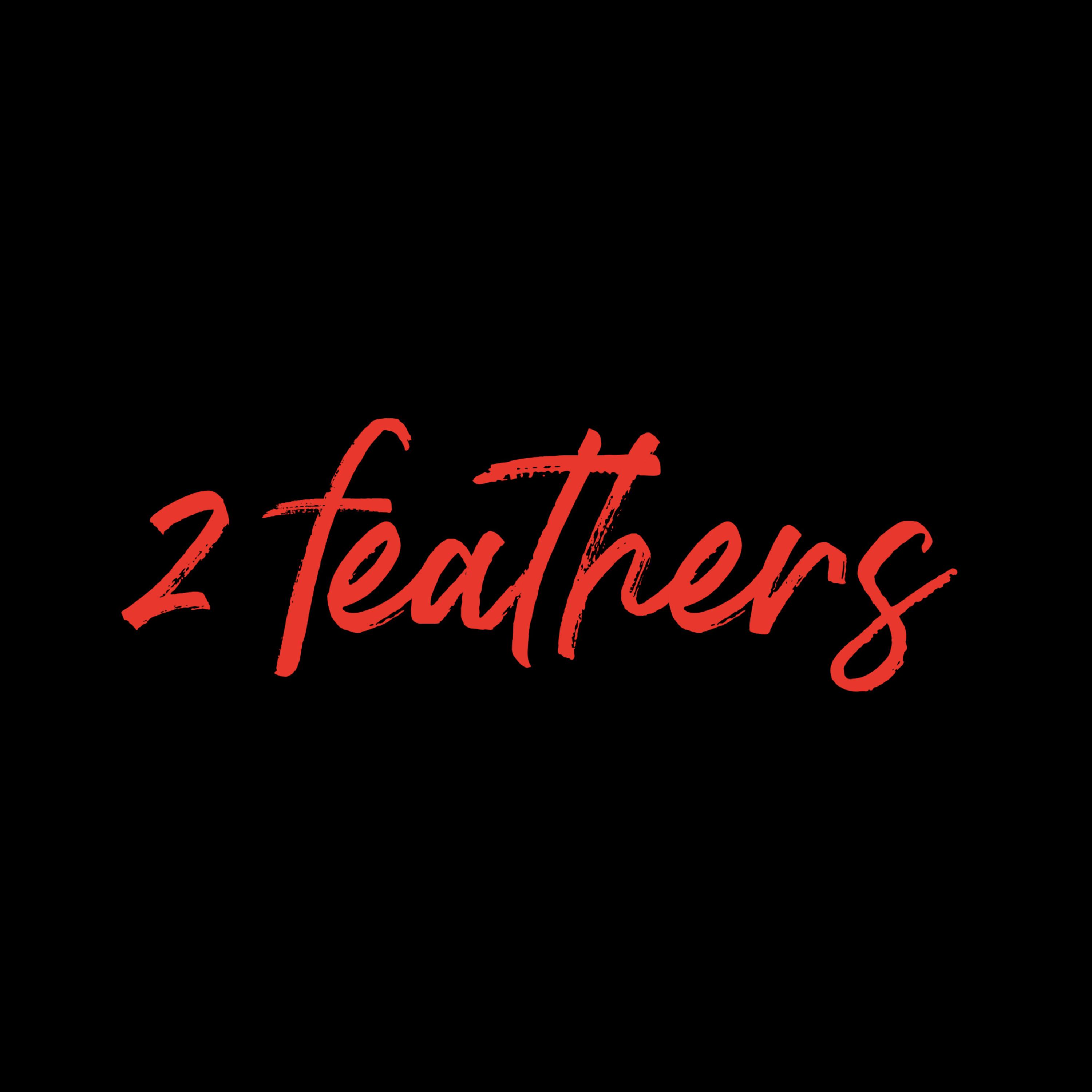 2 feathers artwork
