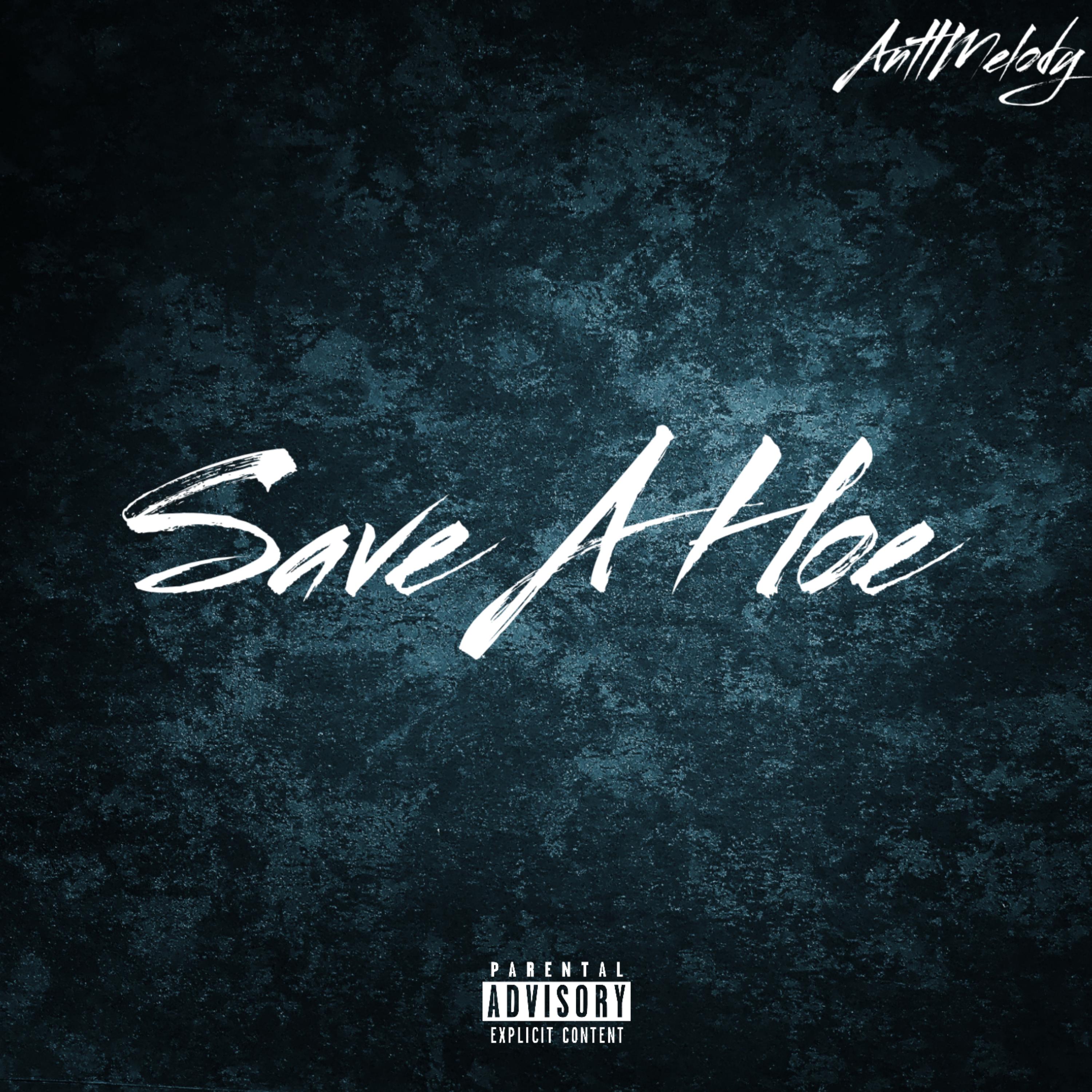 Save A Hoe artwork