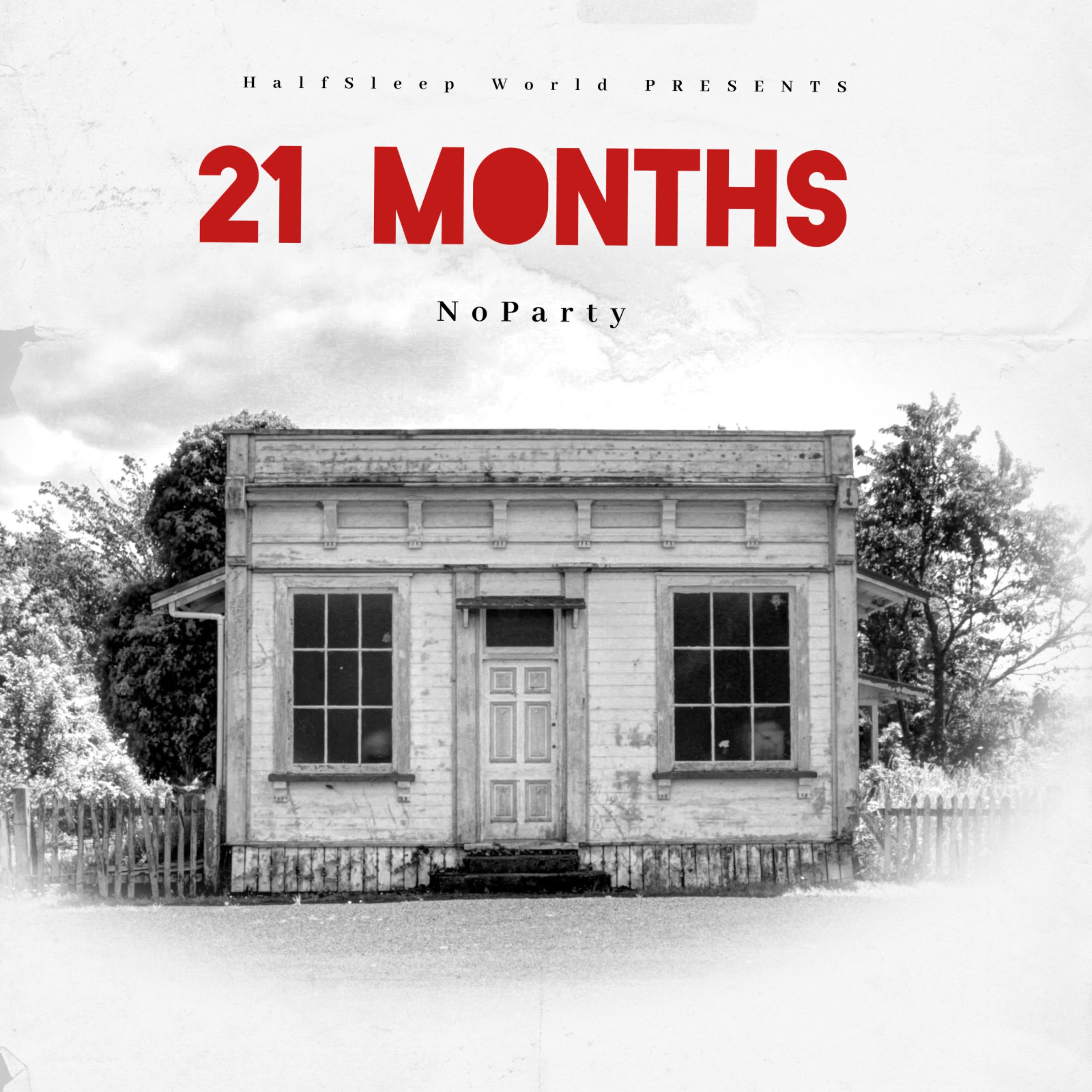 21 Months artwork
