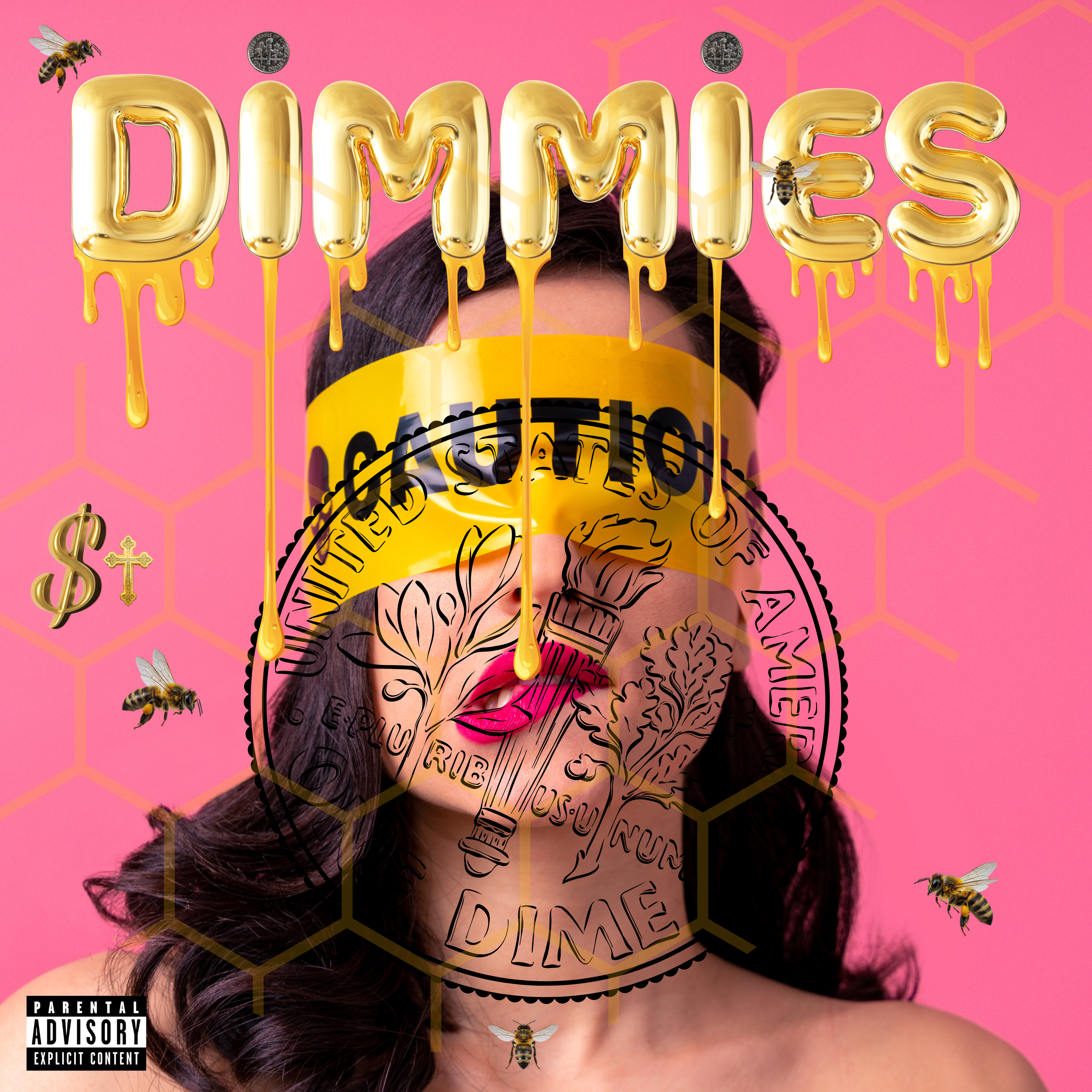 DIMMIES artwork