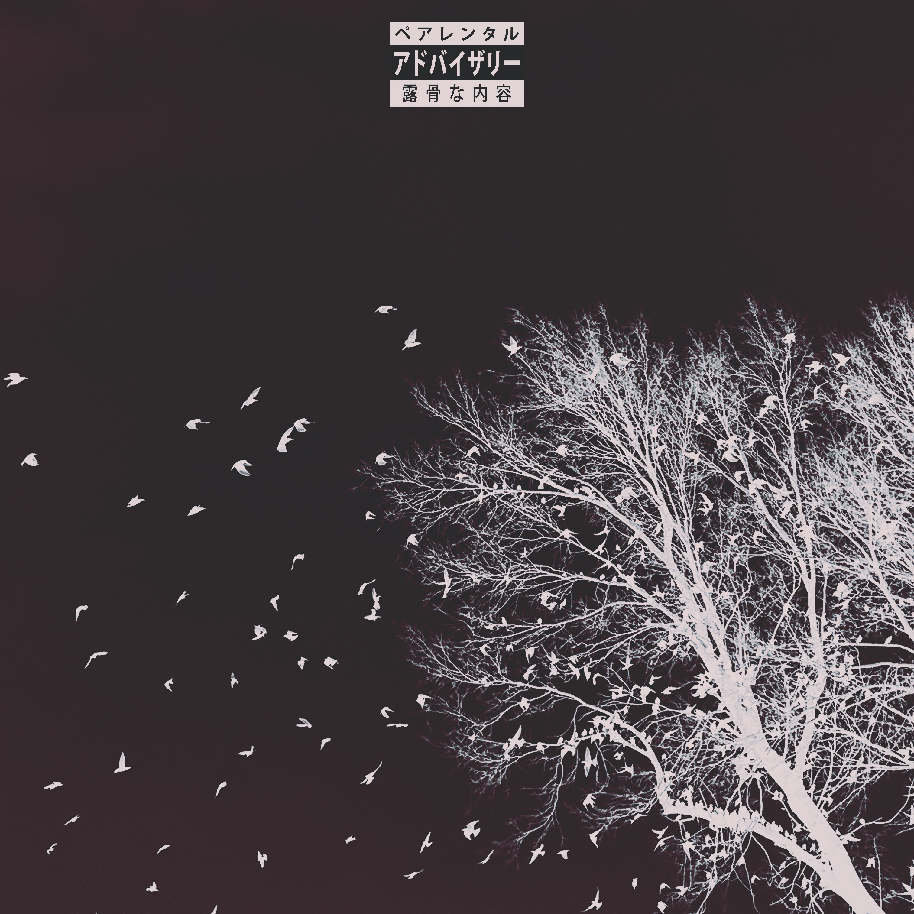 DROP TOP artwork