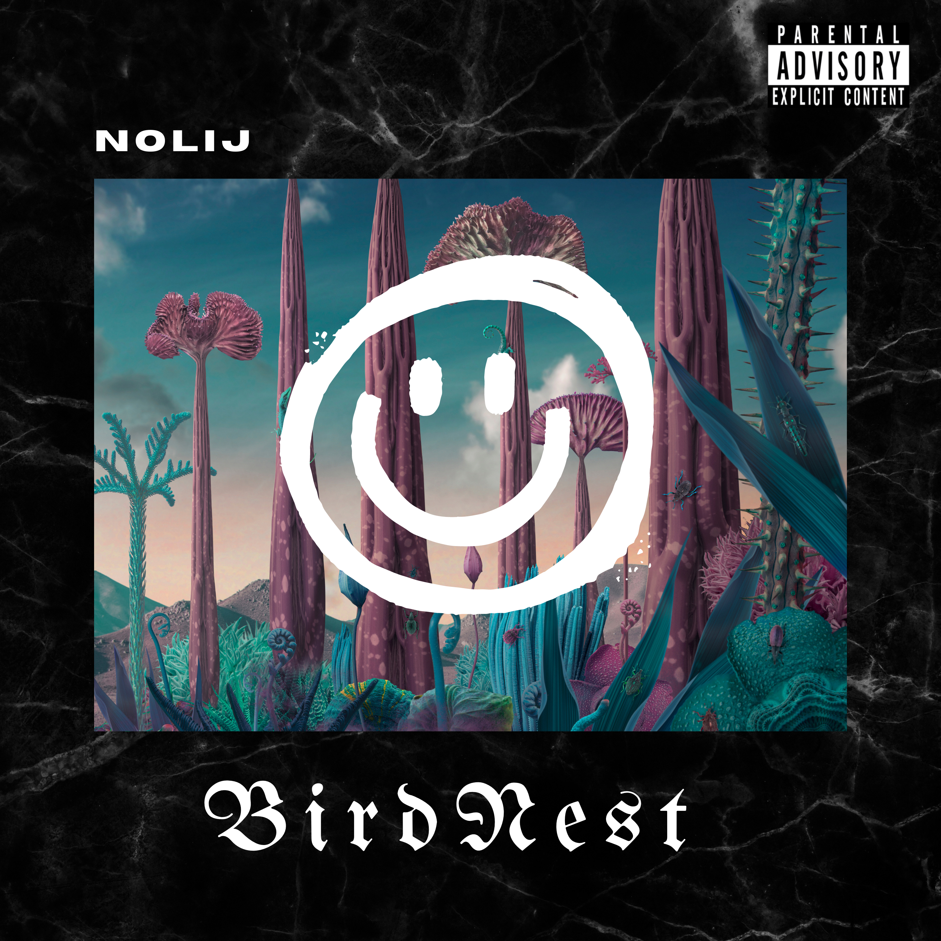 Birdnest artwork