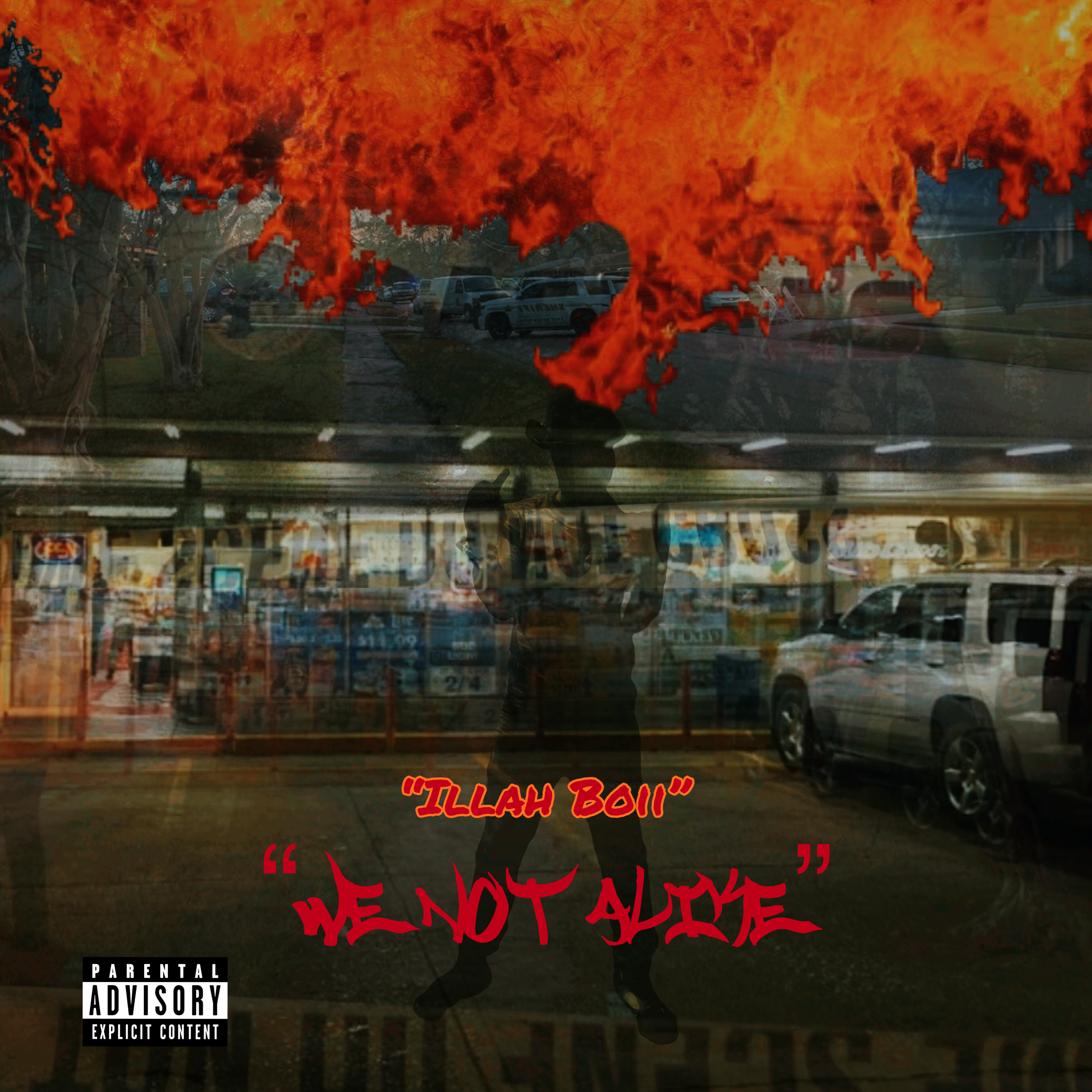 We Not Alike artwork