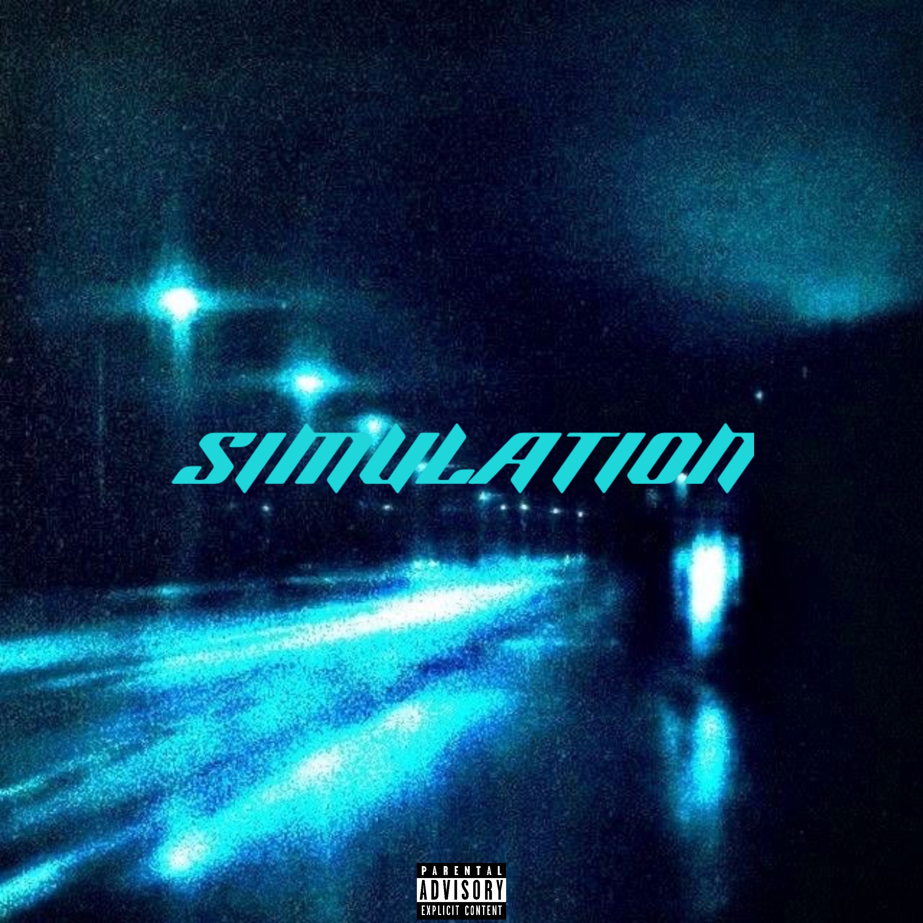 SIMULATION artwork