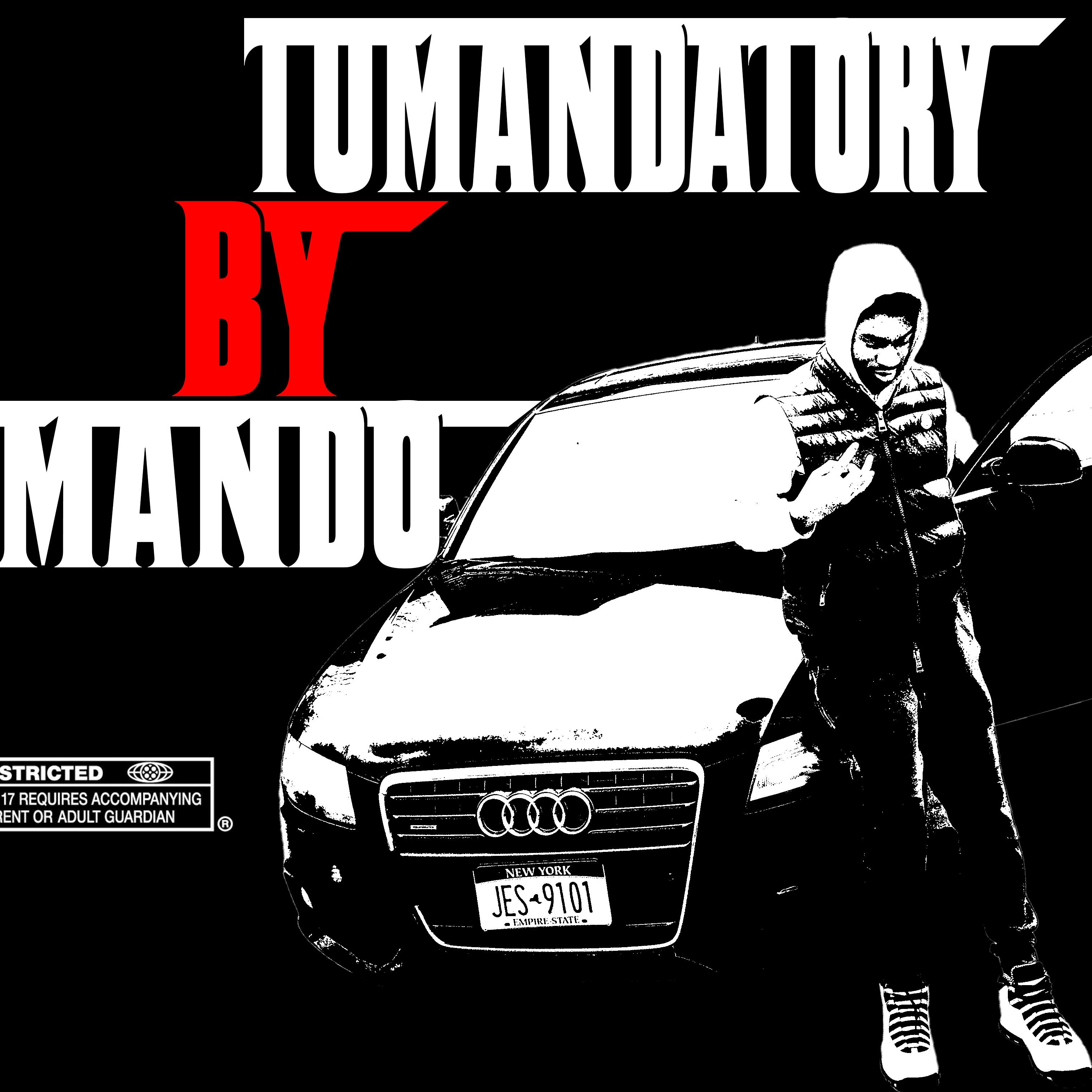 TuMandatory artwork