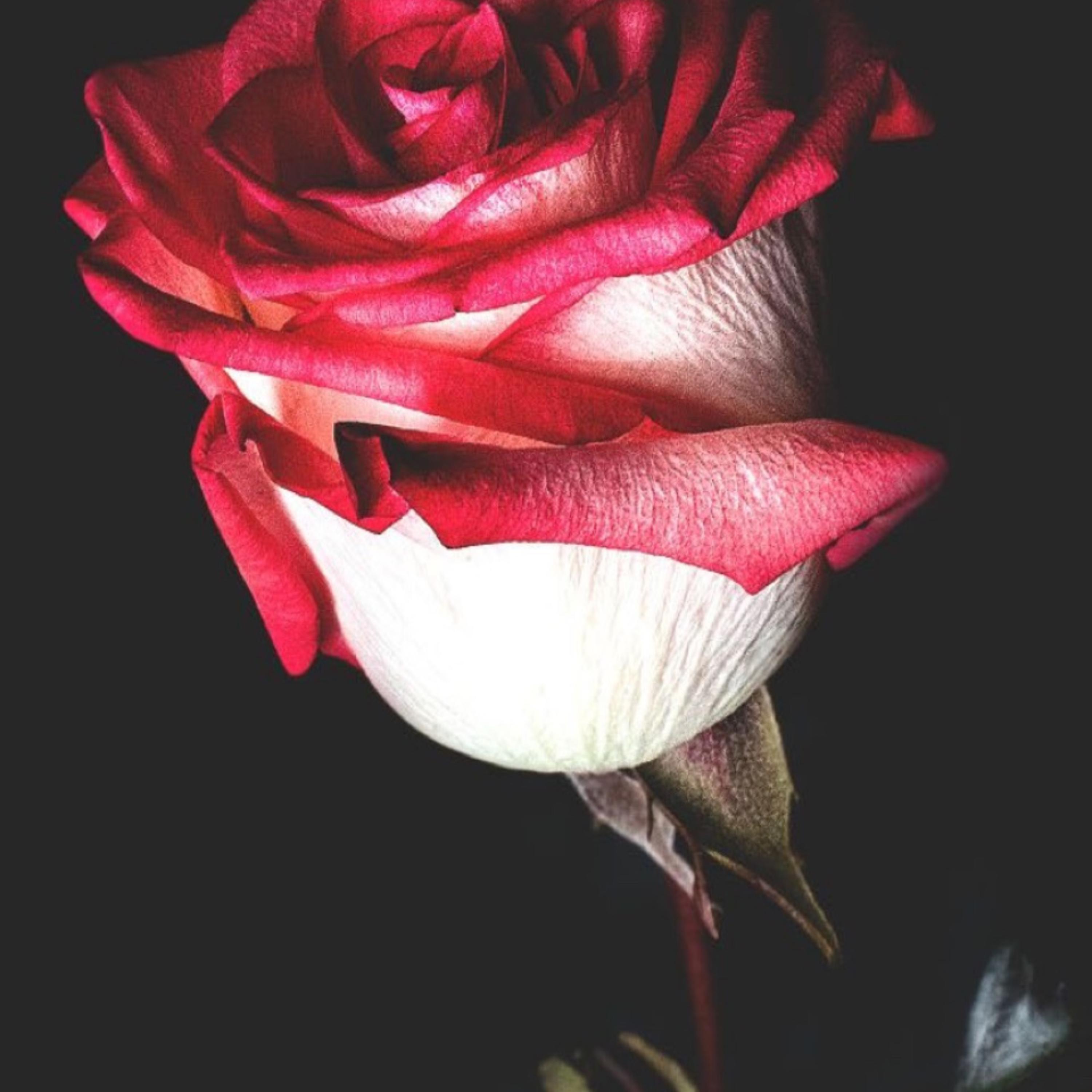 A Love Note artwork