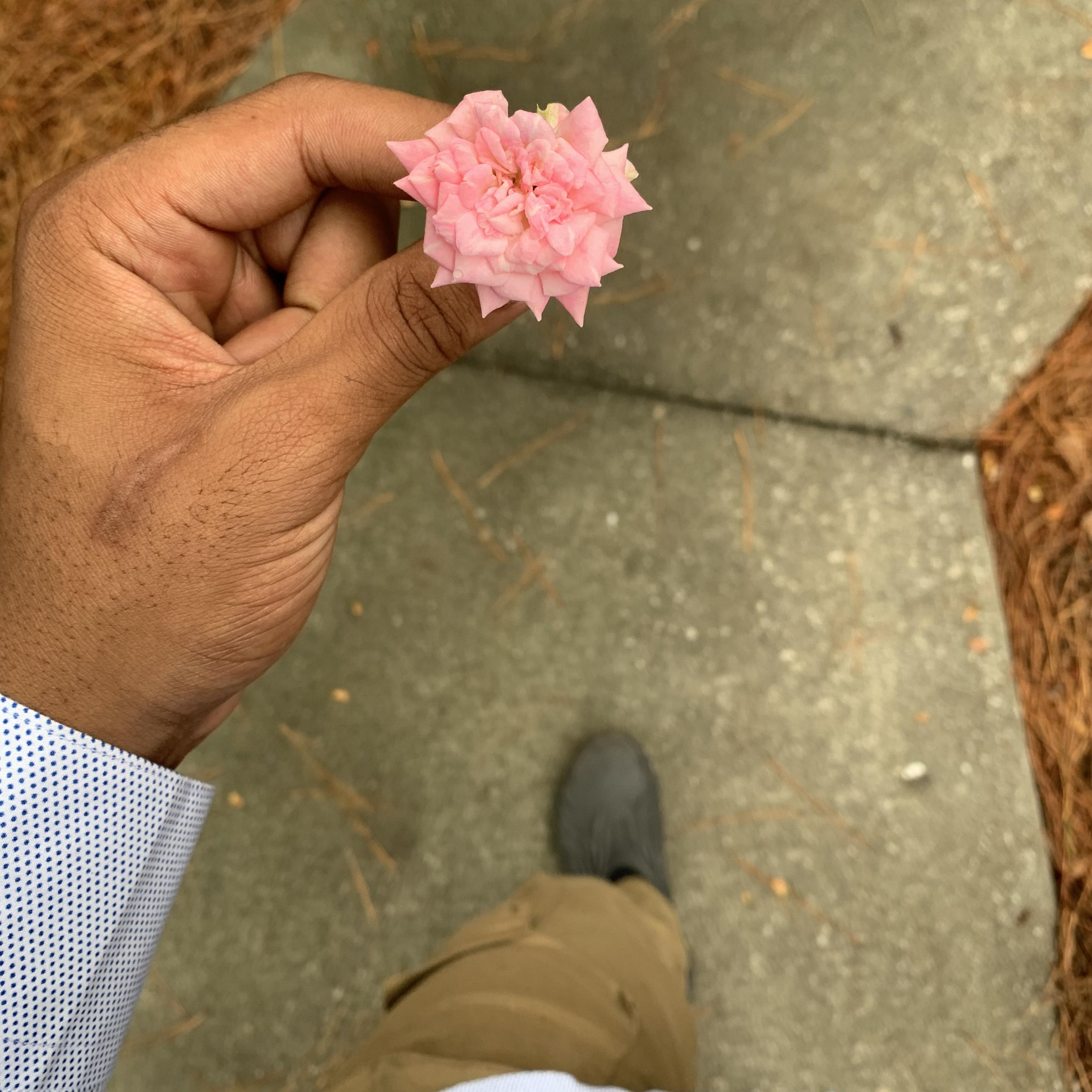 Back In That Mode artwork