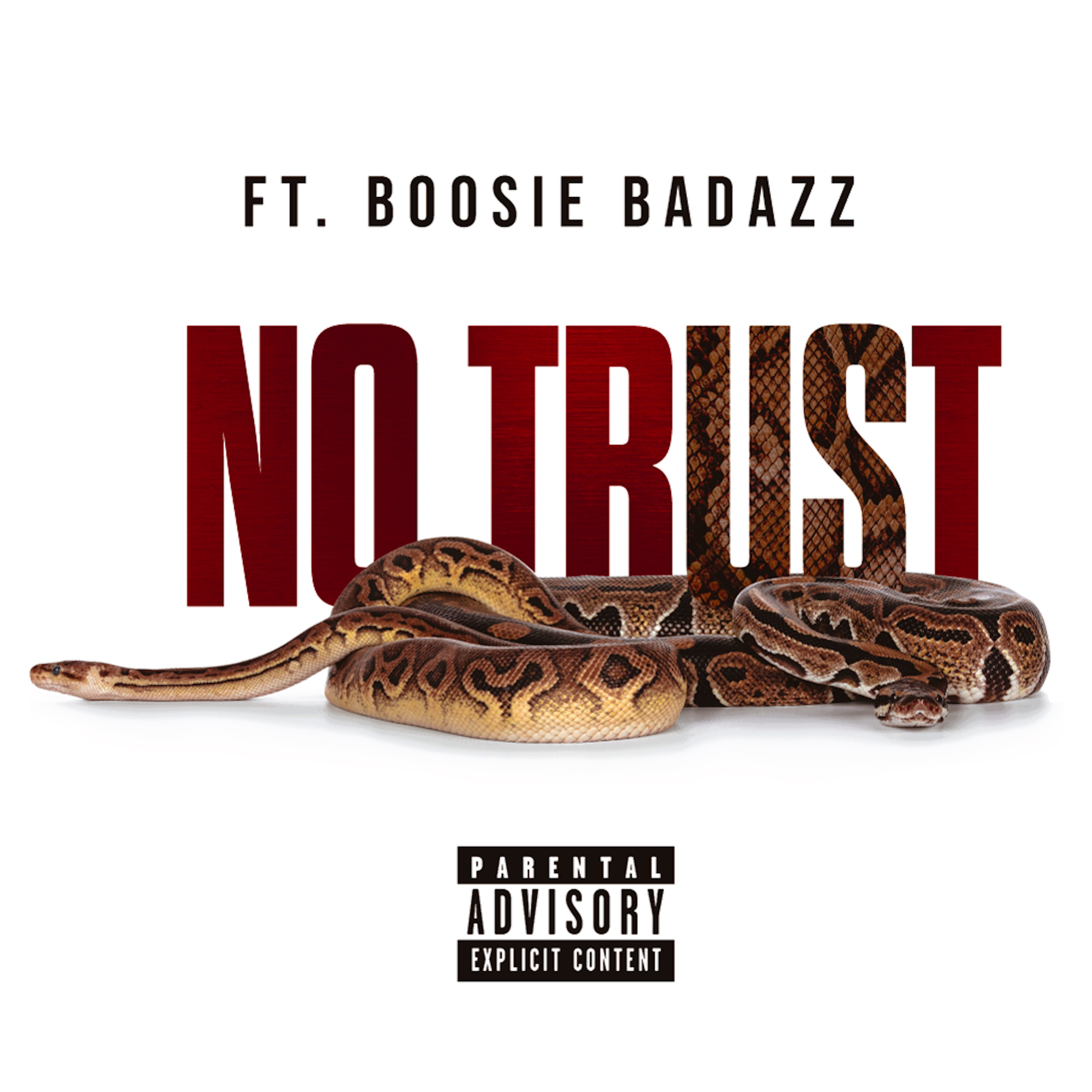 No Trust artwork
