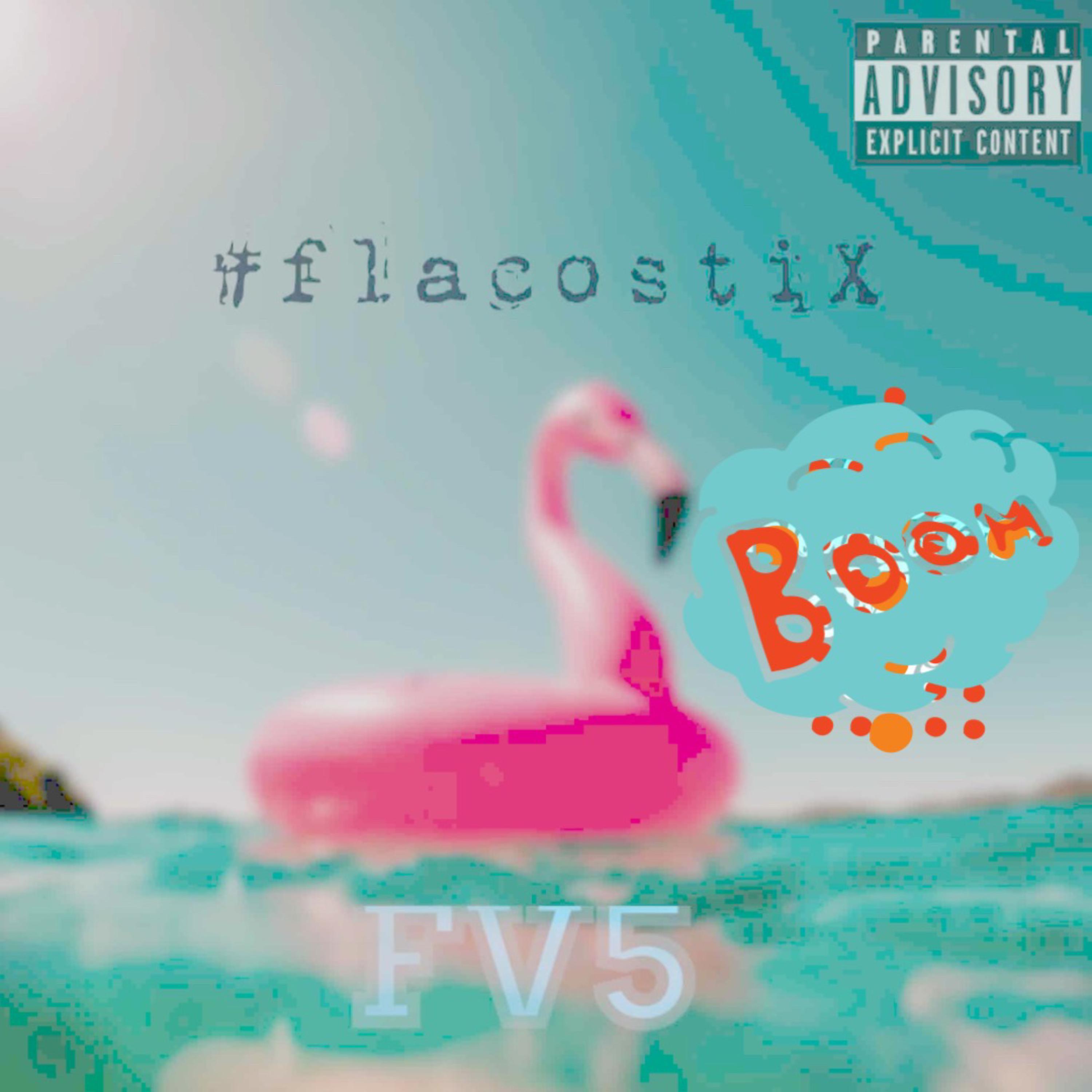 FV5 artwork