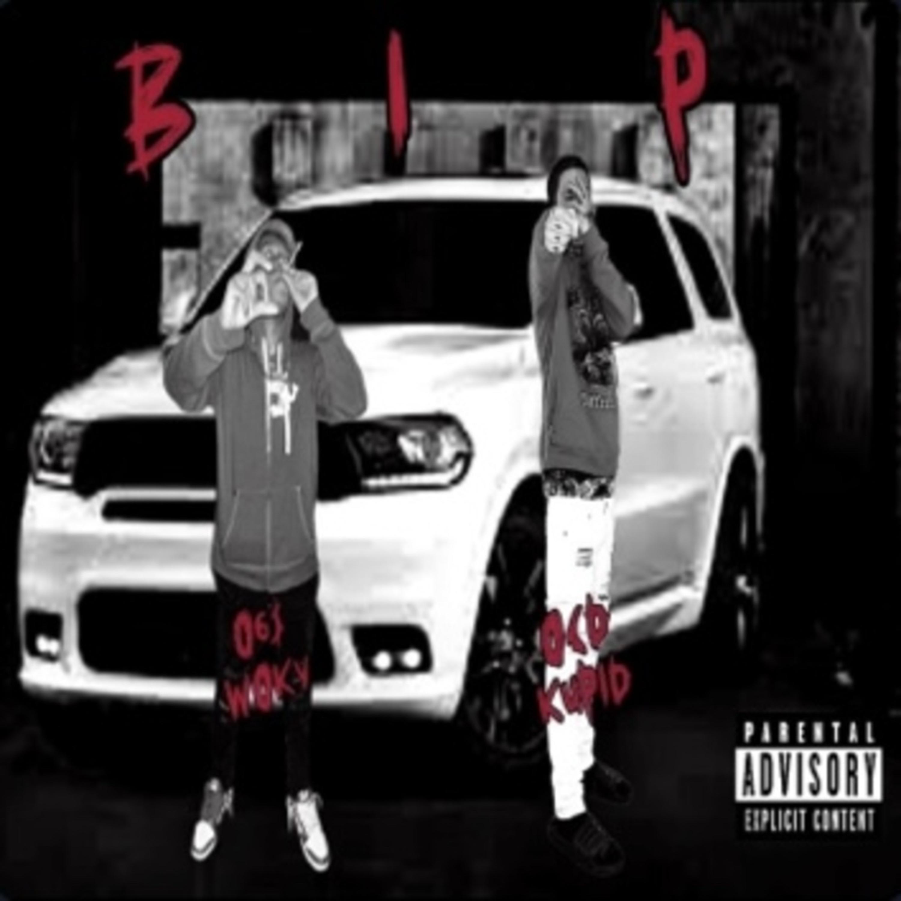 BIP artwork