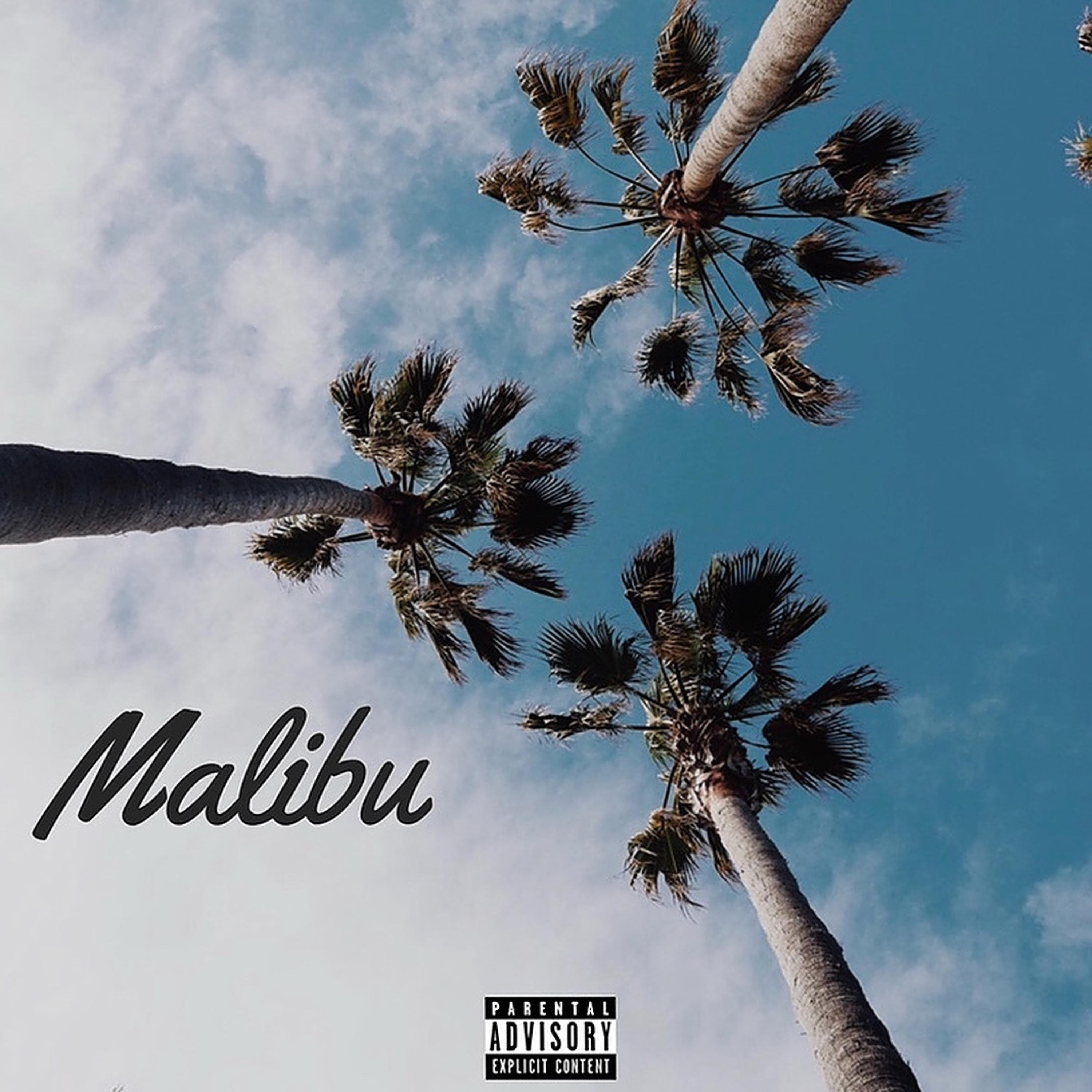 Malibu artwork