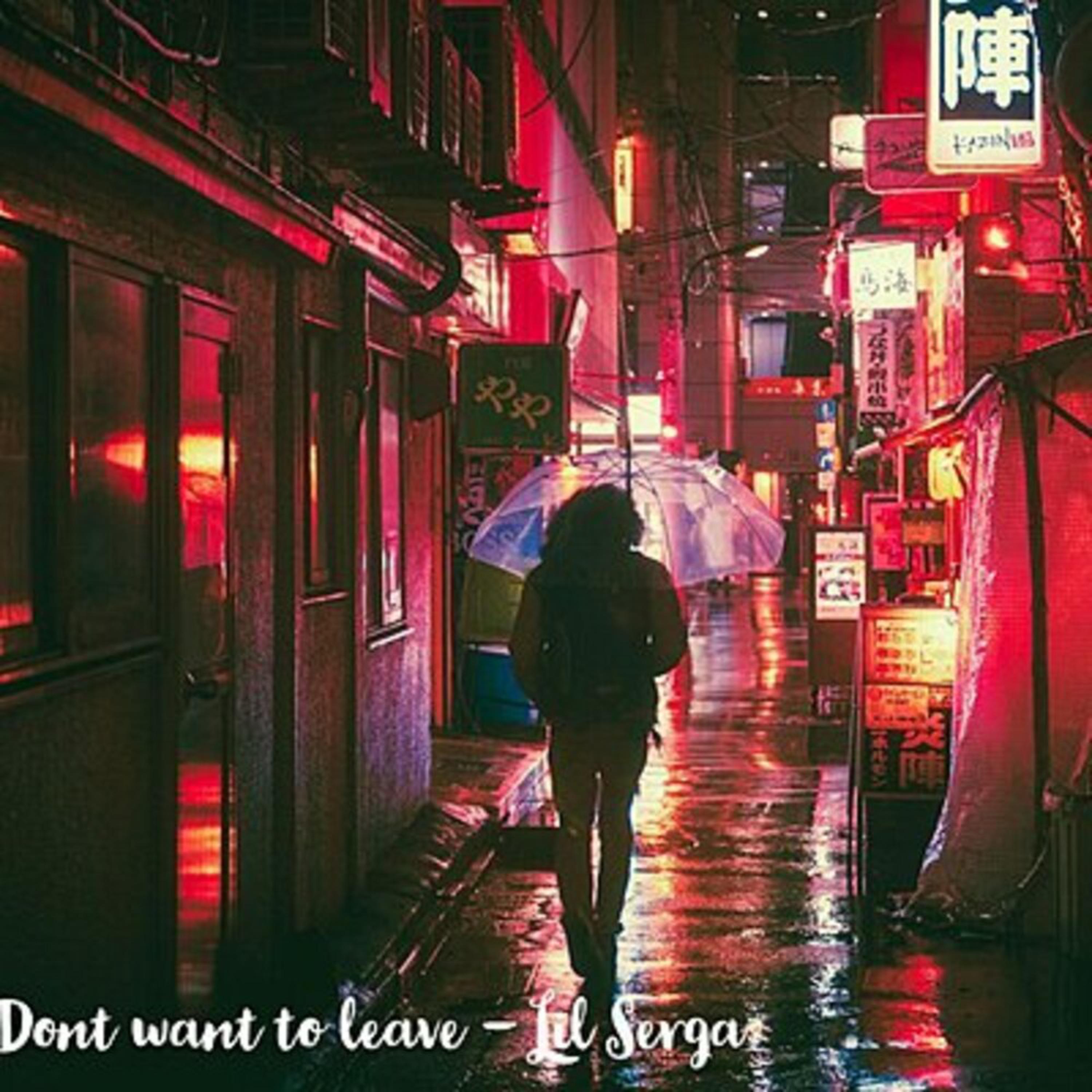 Don't WantTo Leave artwork
