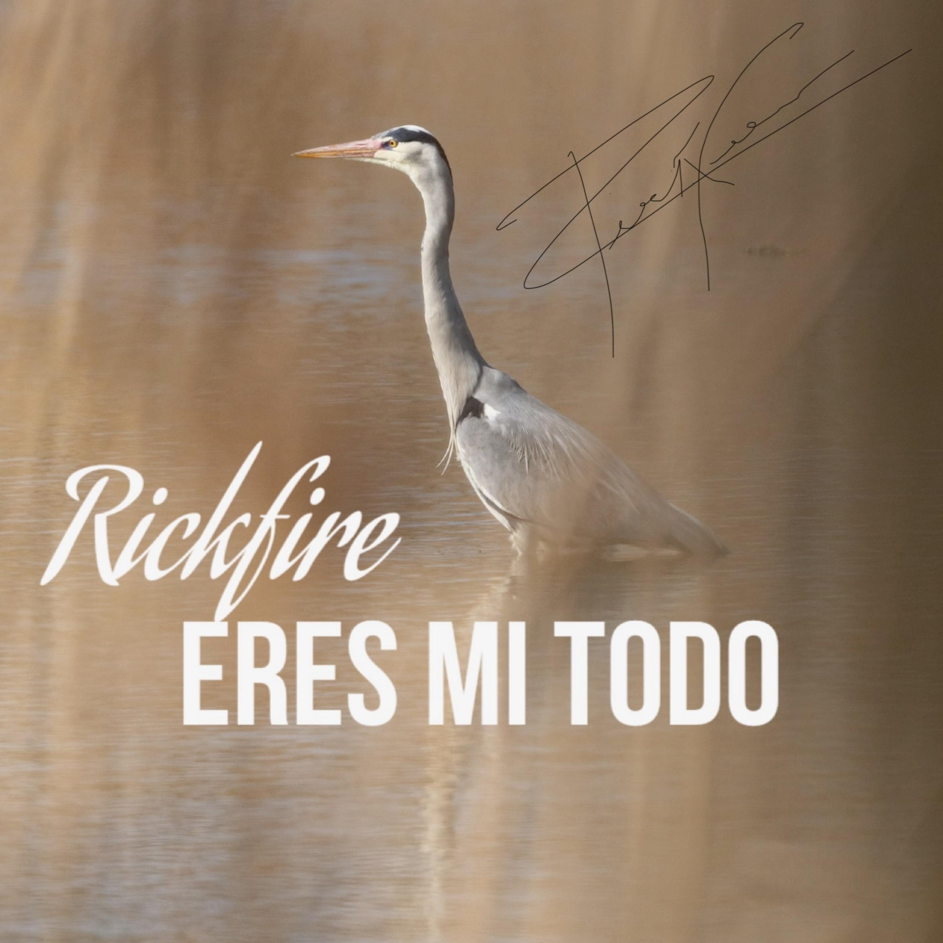 Eres Mi Todo artwork