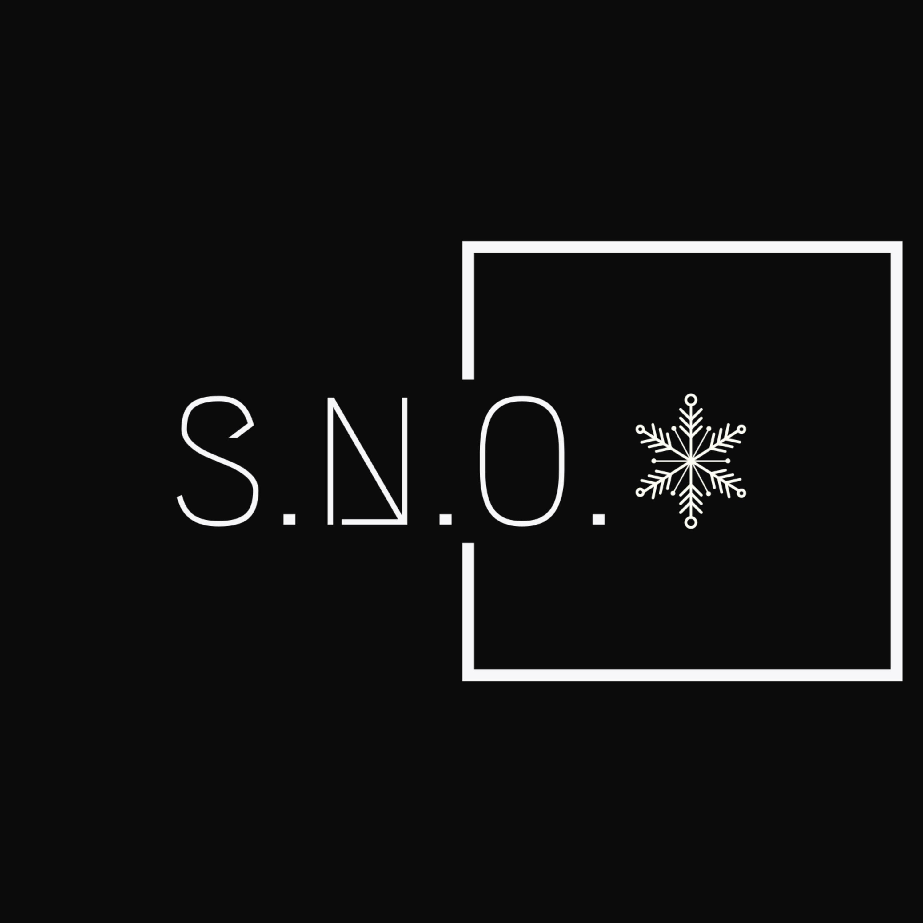 WAY YOU ARE by S.N.O BRAVO cover art
