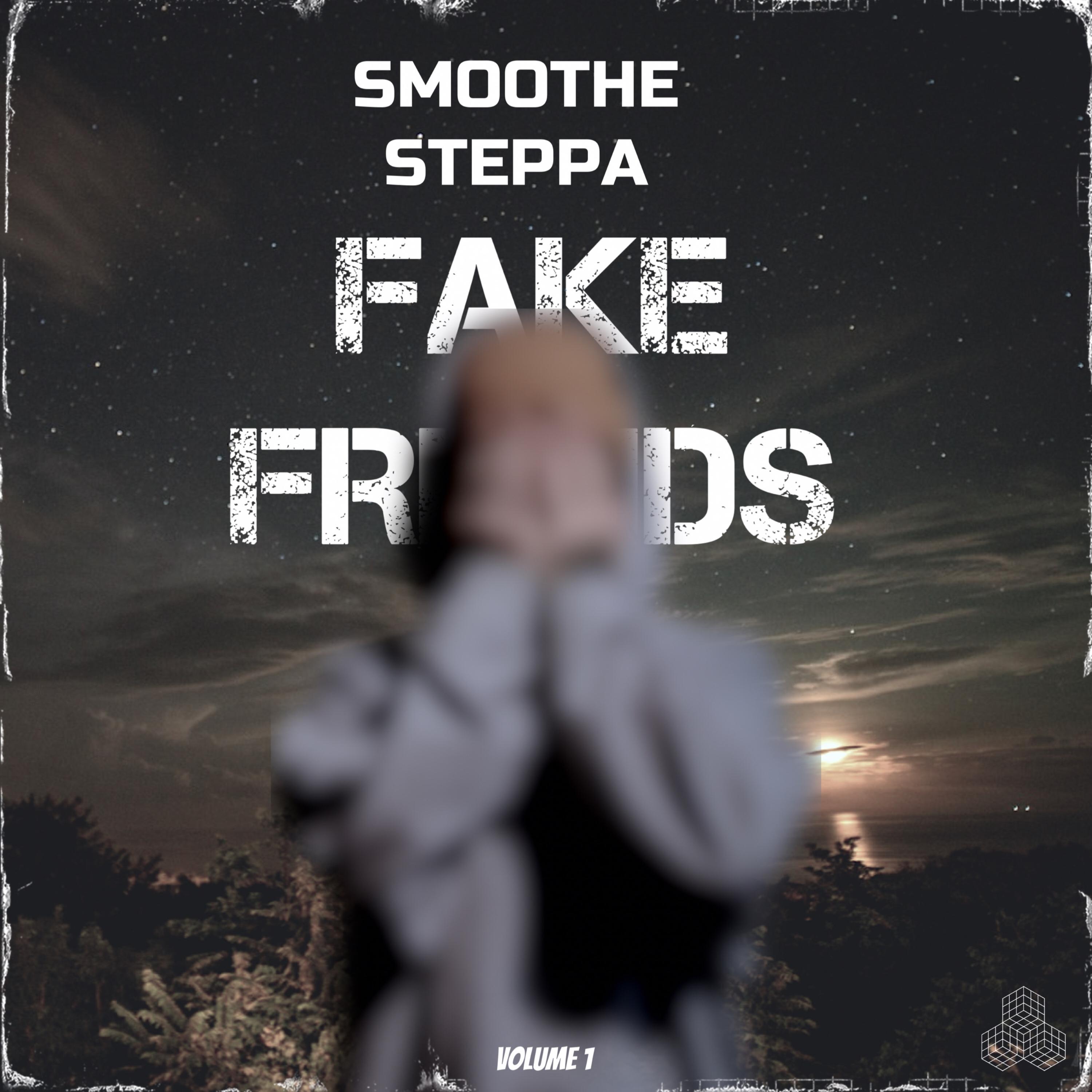 Fake Friends artwork