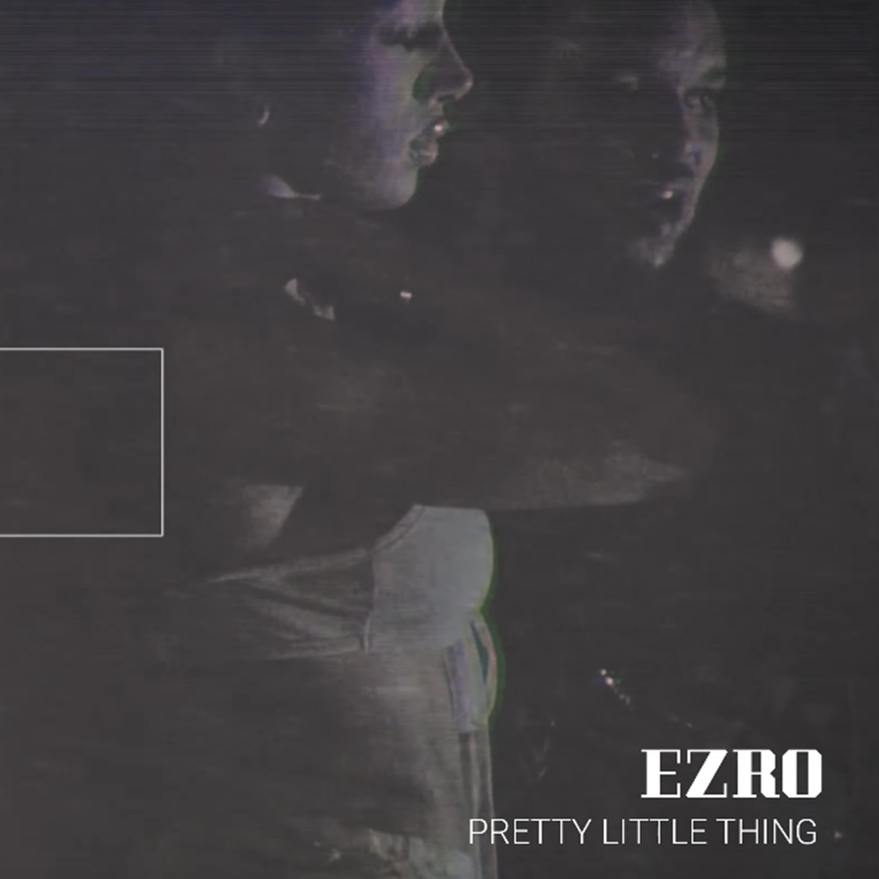 Pretty Little Thing artwork