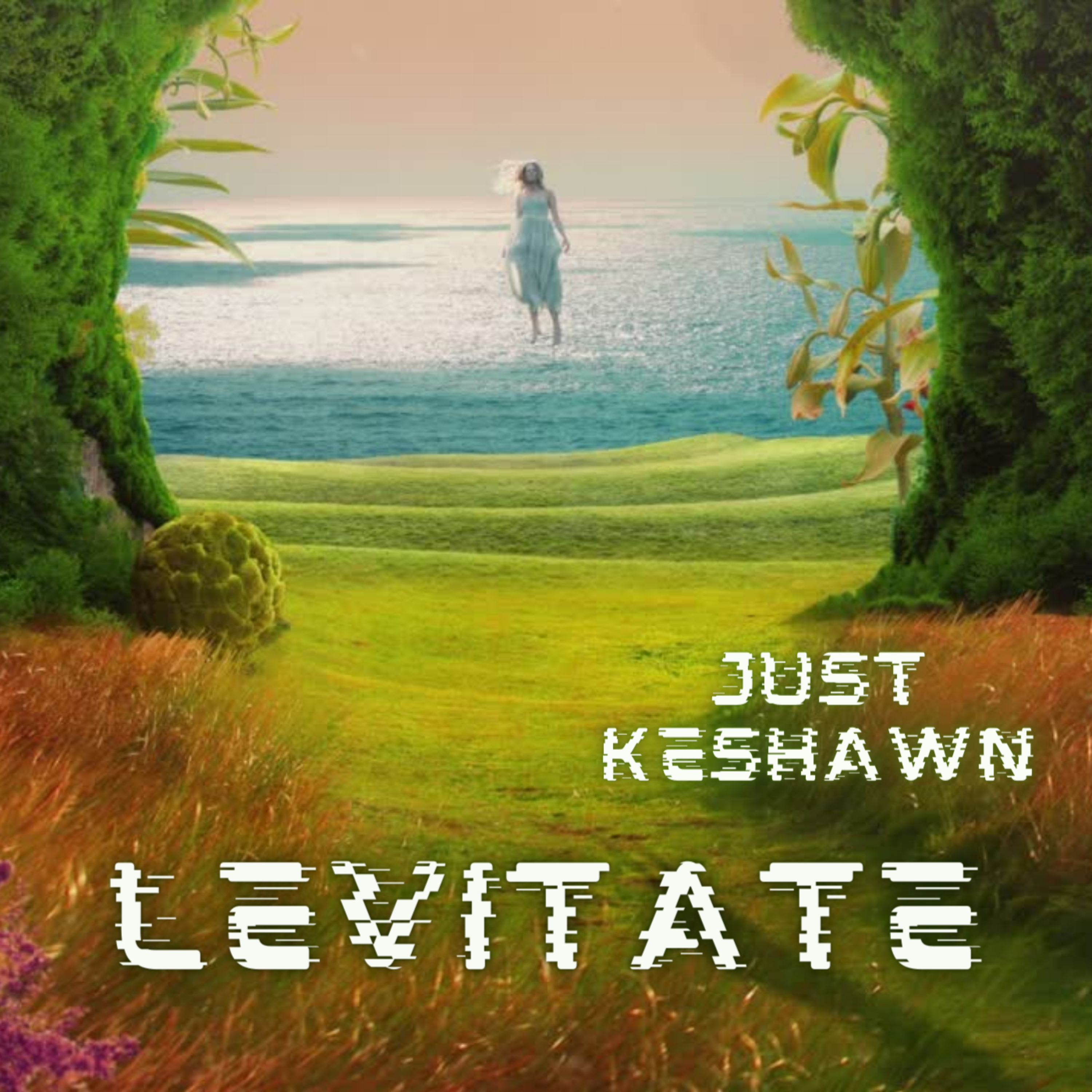 Levitate artwork