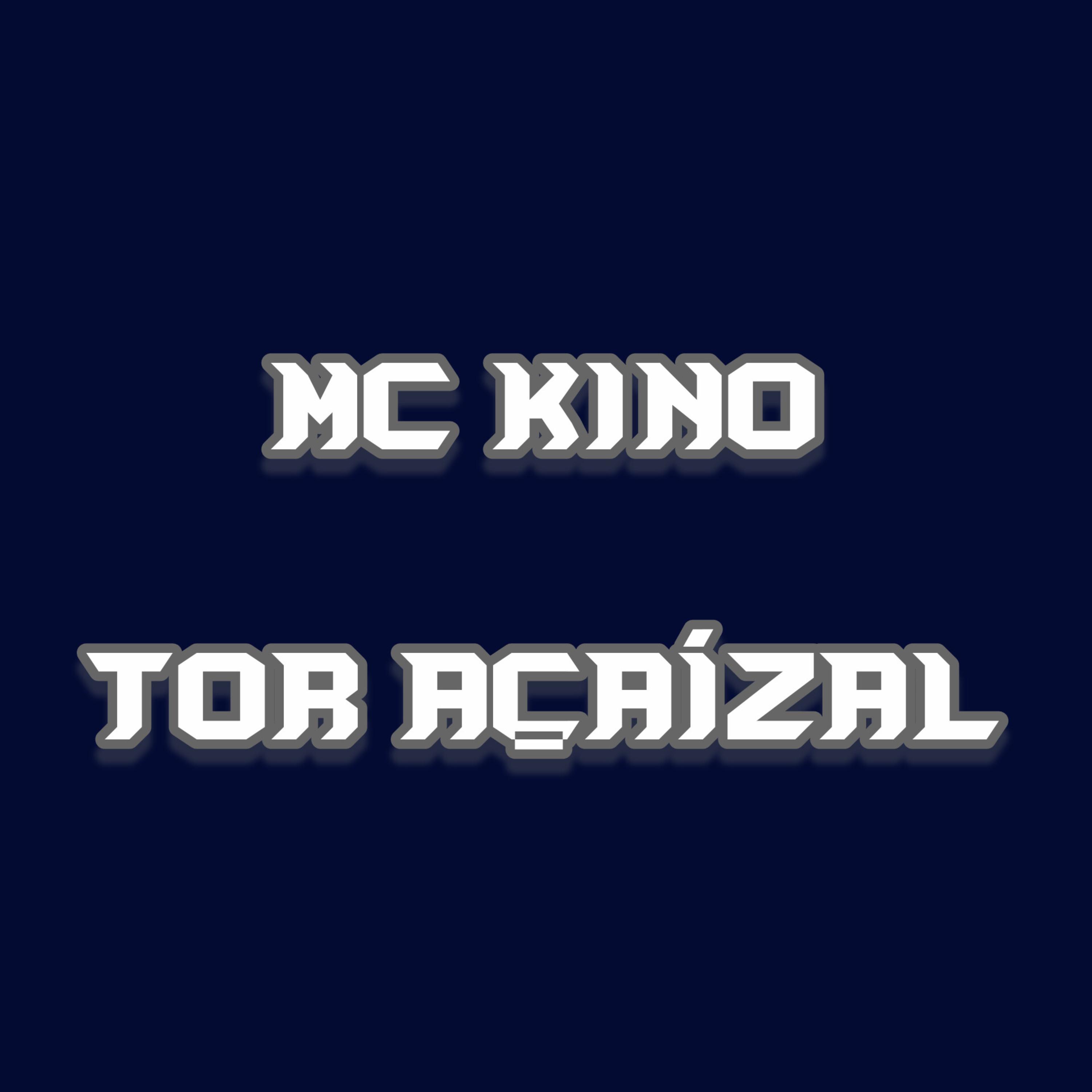 TOR AÇAÍZAL artwork