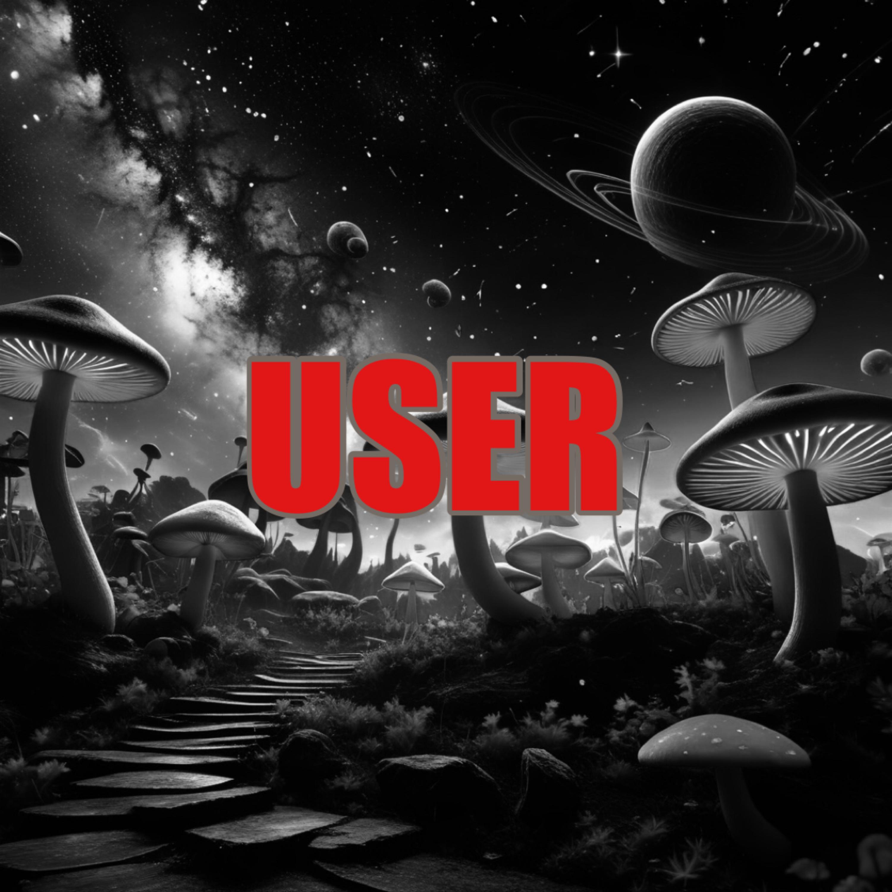 USER artwork