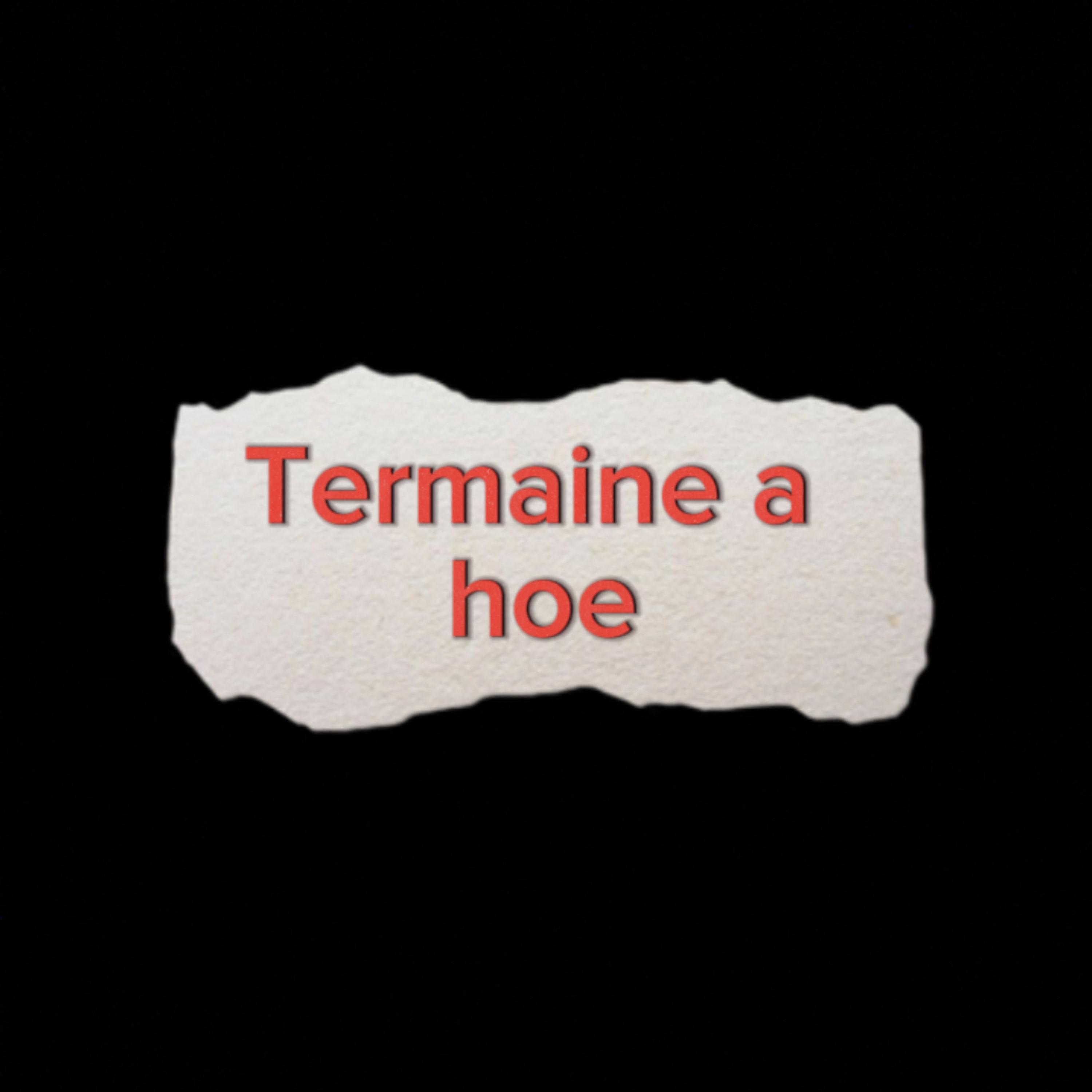 Termaine A Hoe artwork