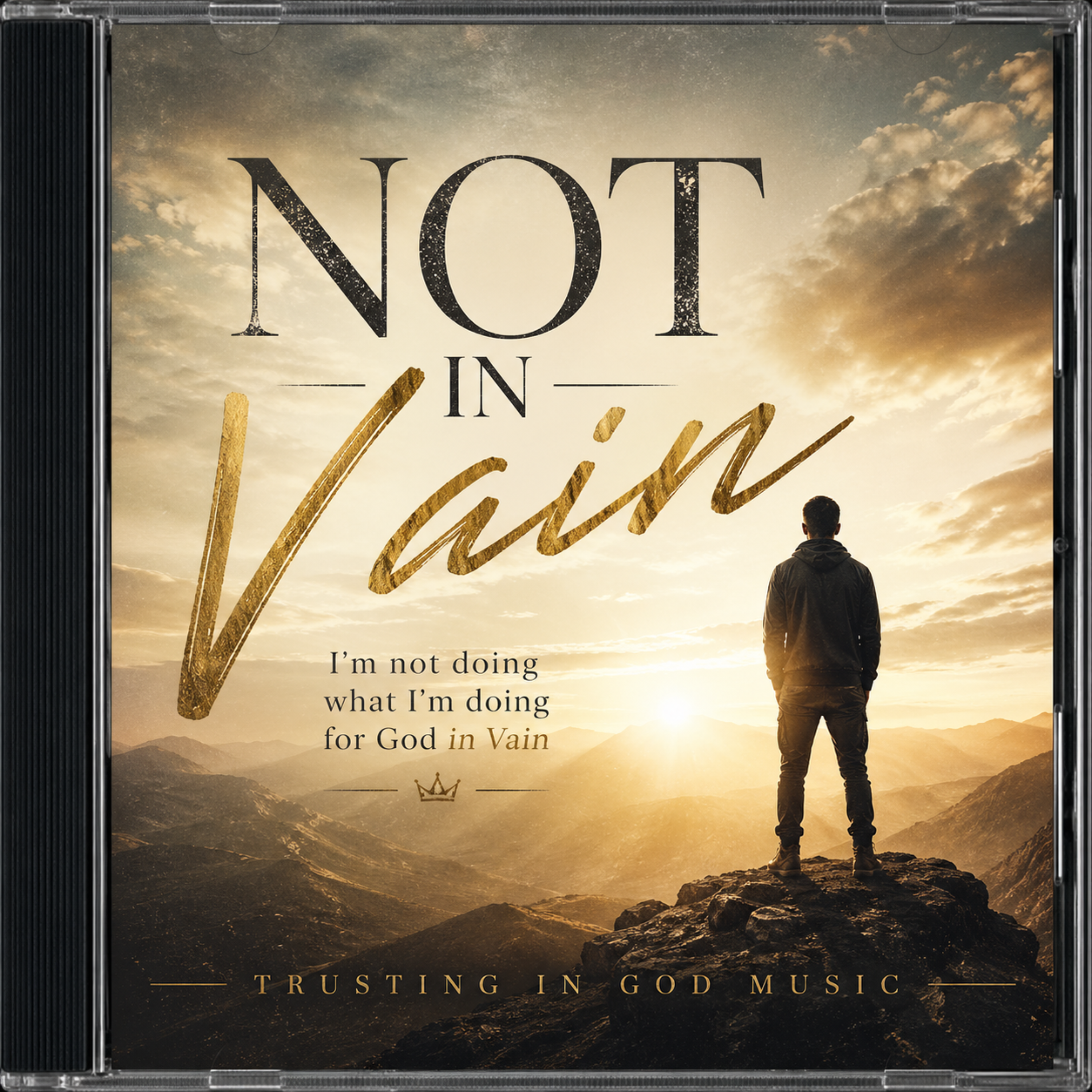Not In Vain artwork