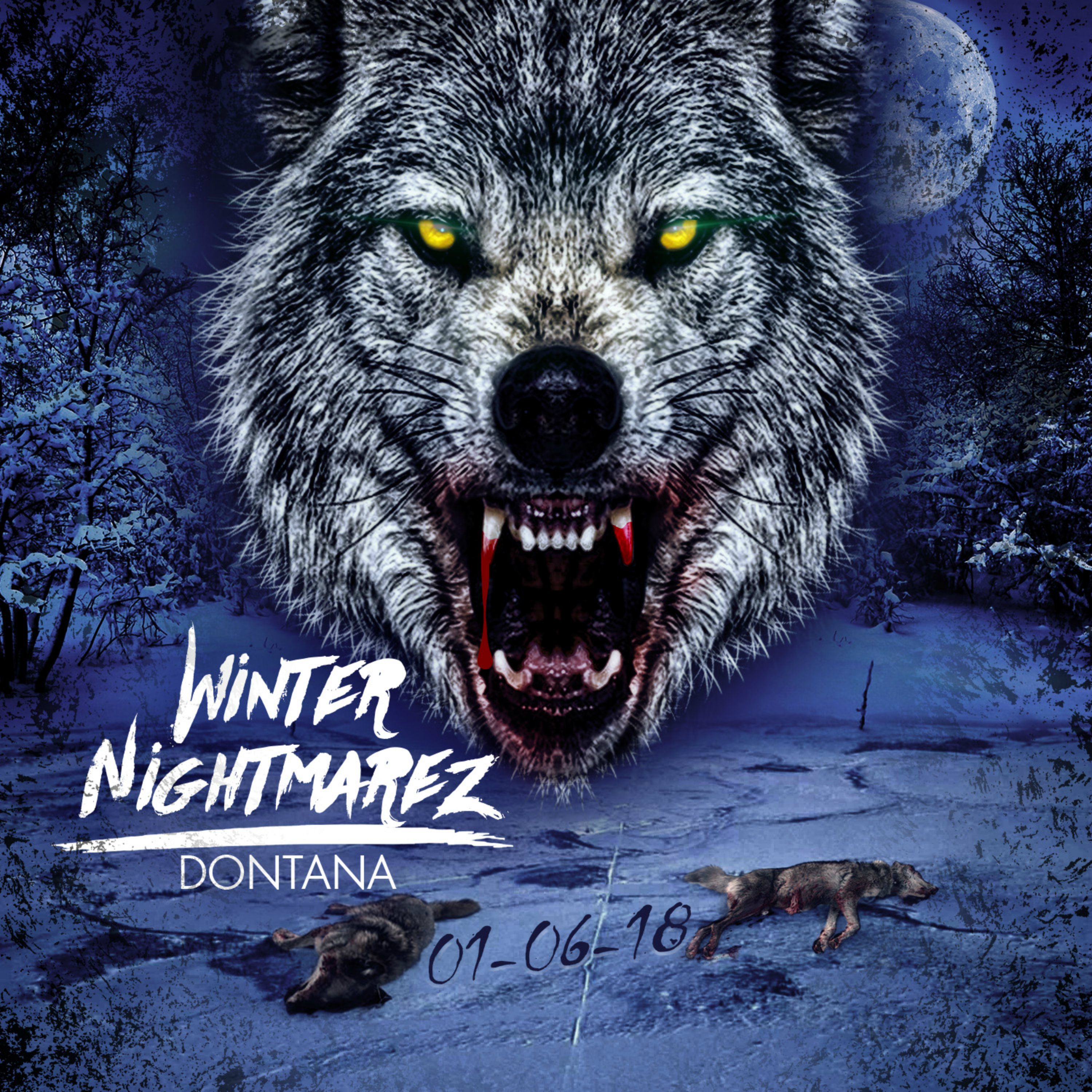 Winter Nightmarez artwork