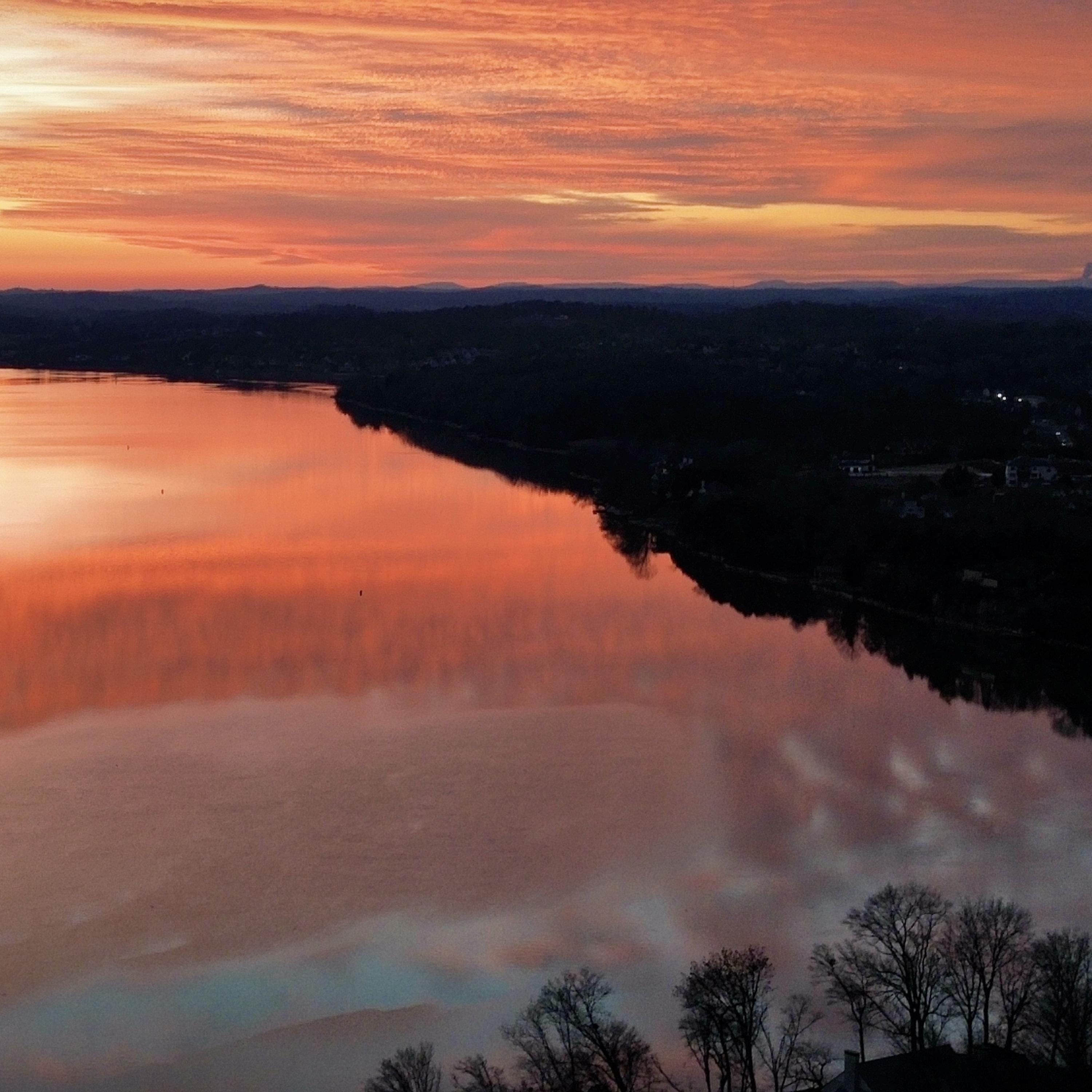 Swamp Donkey artwork