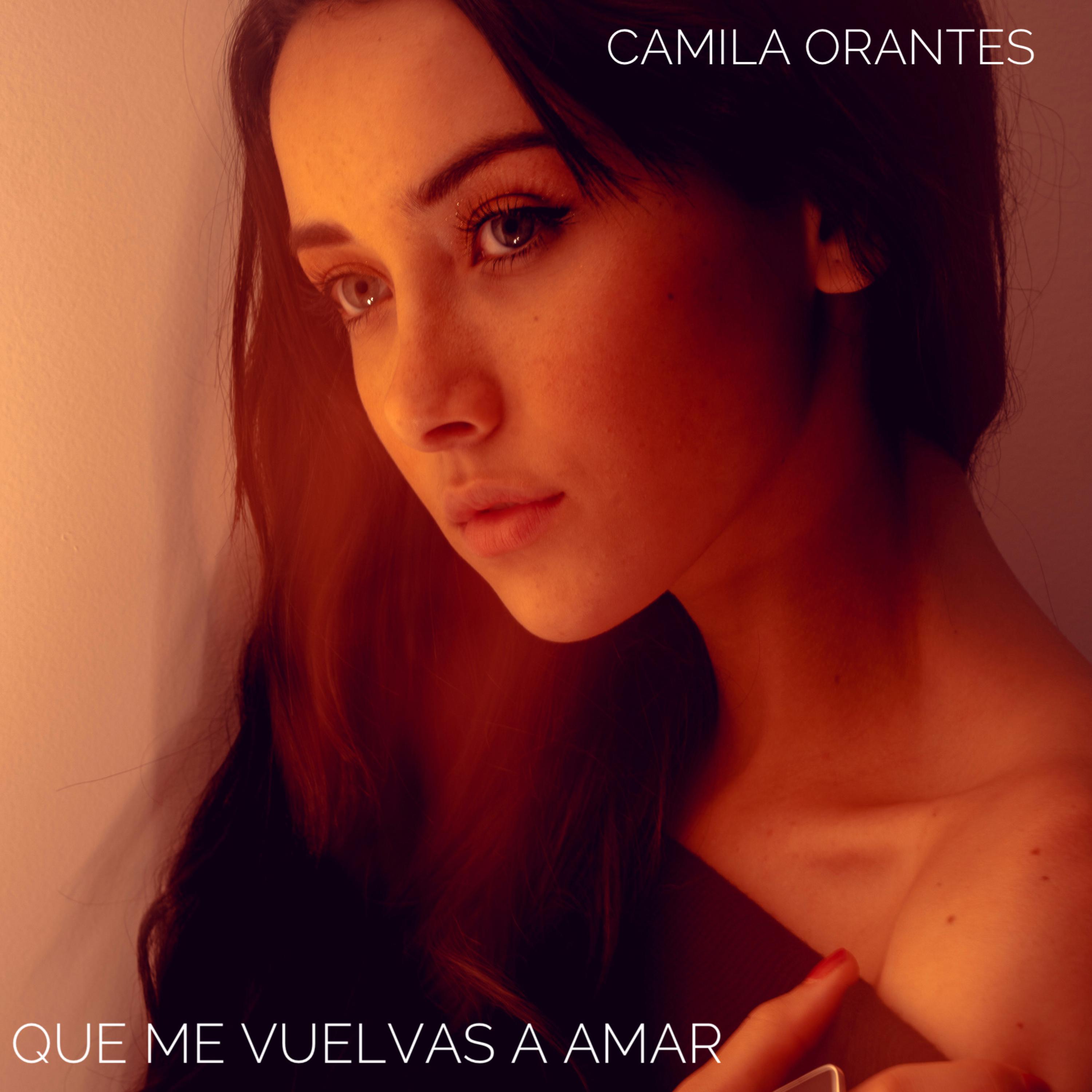 Que Me Vuelvas A Amar artwork