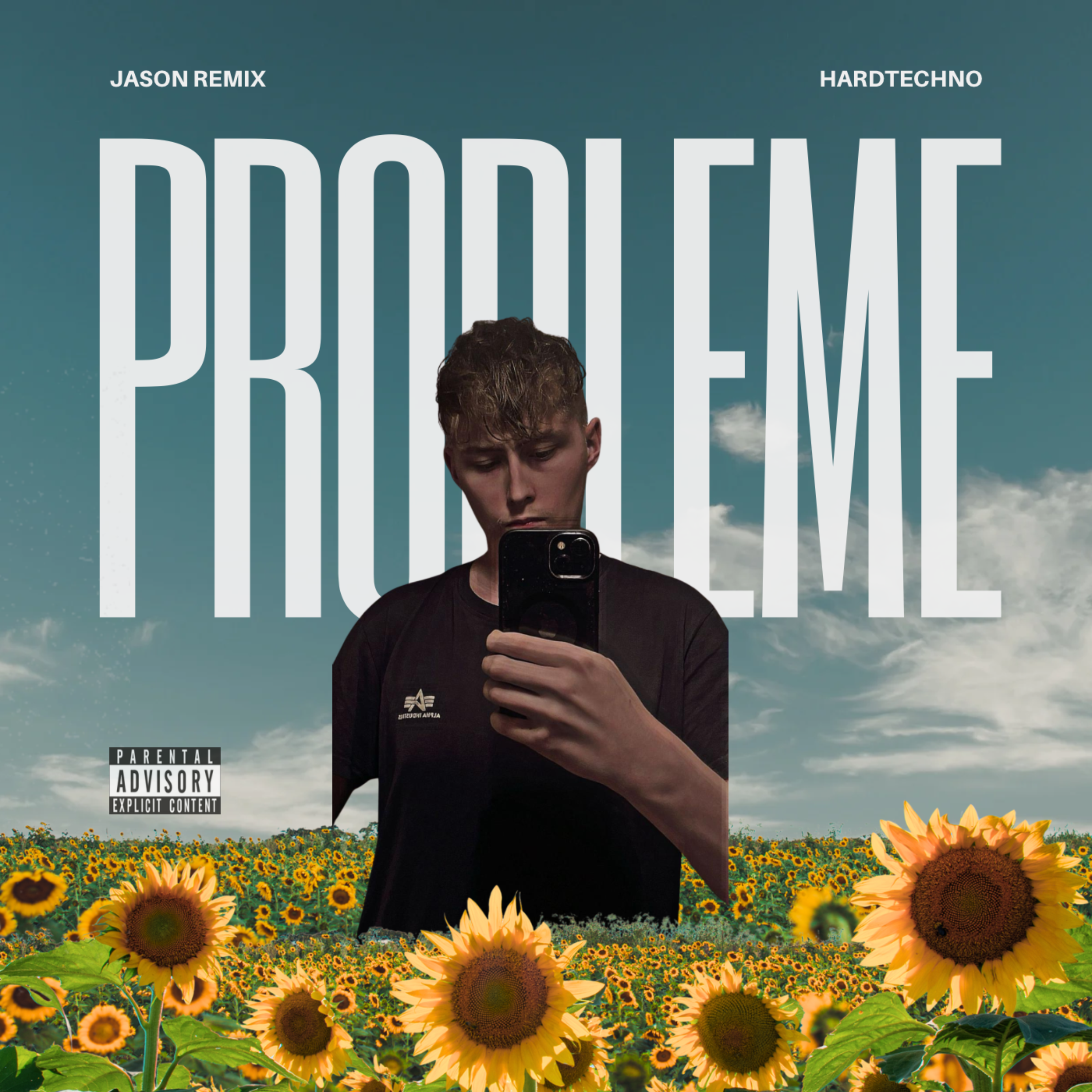 Probleme artwork