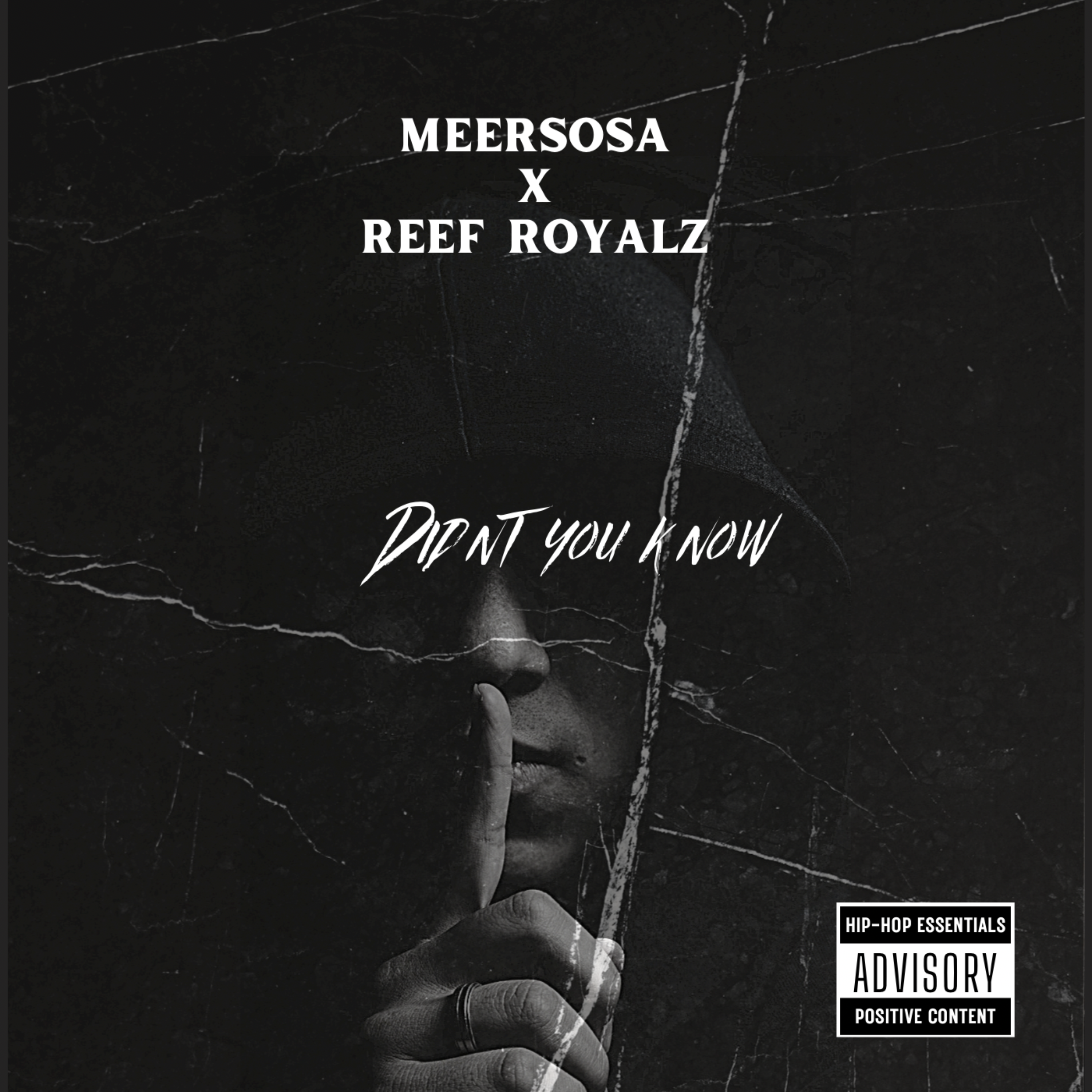 Didn’t You Know (freestyle) artwork
