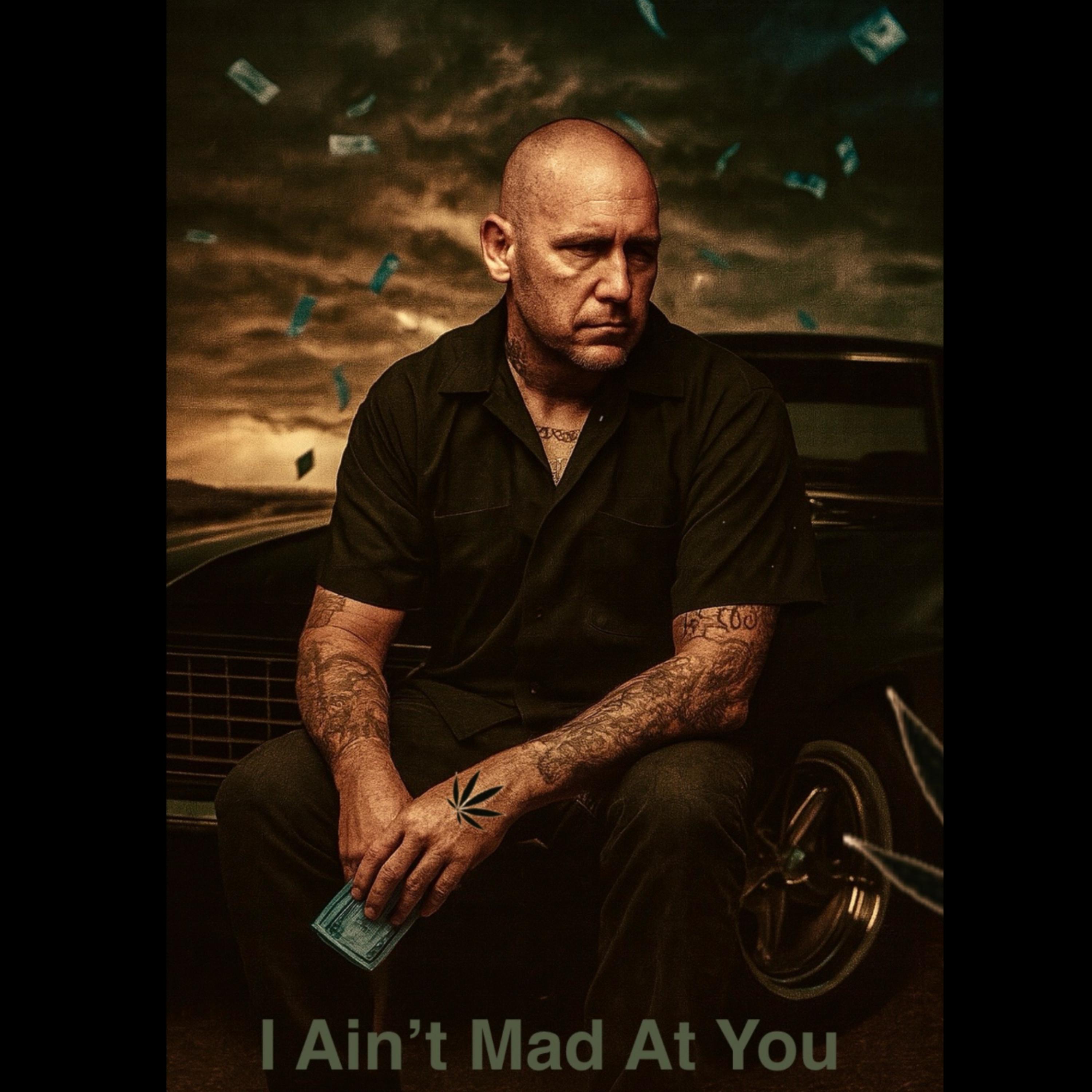 I Ain’t Mad At You artwork
