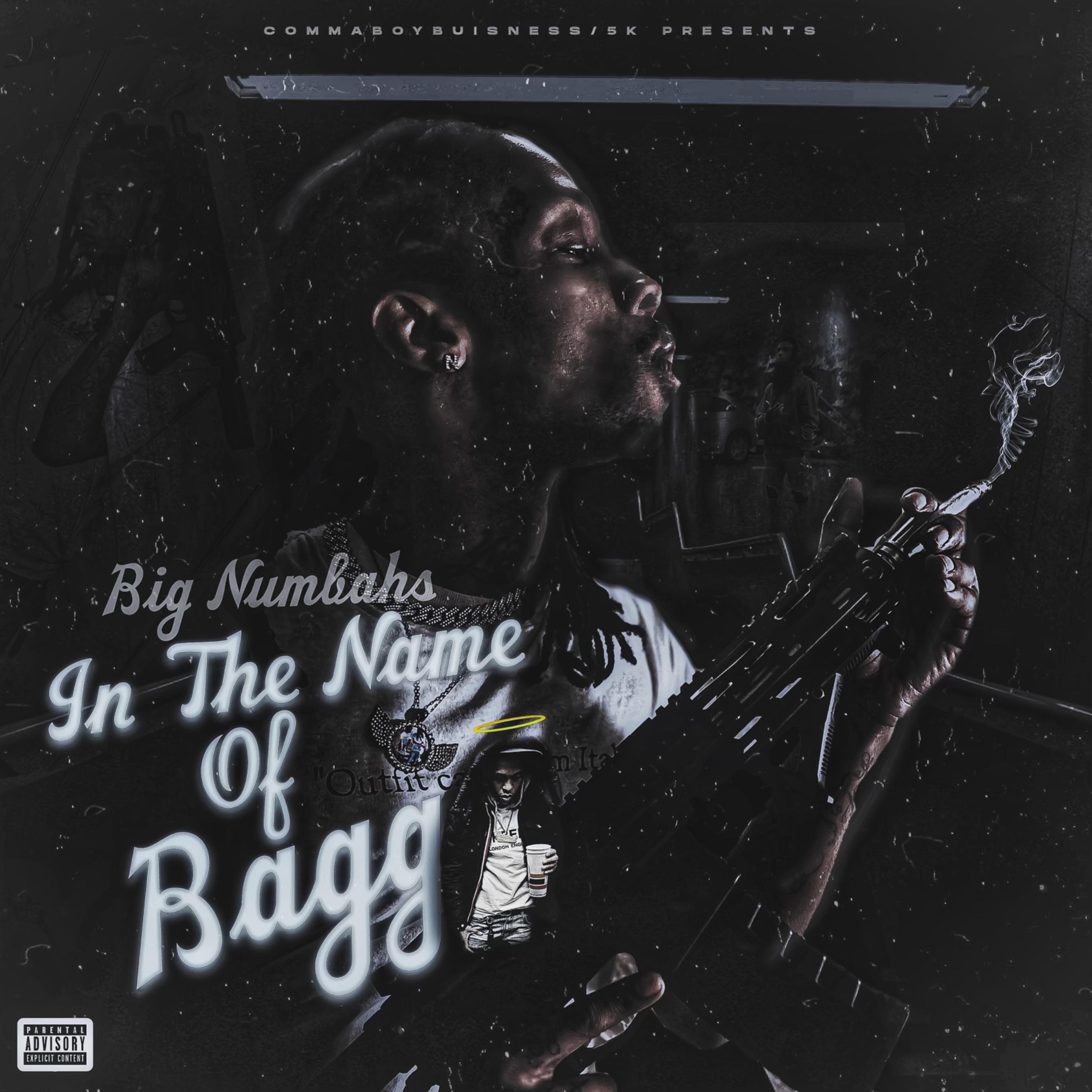 In The Name Of Bagg artwork