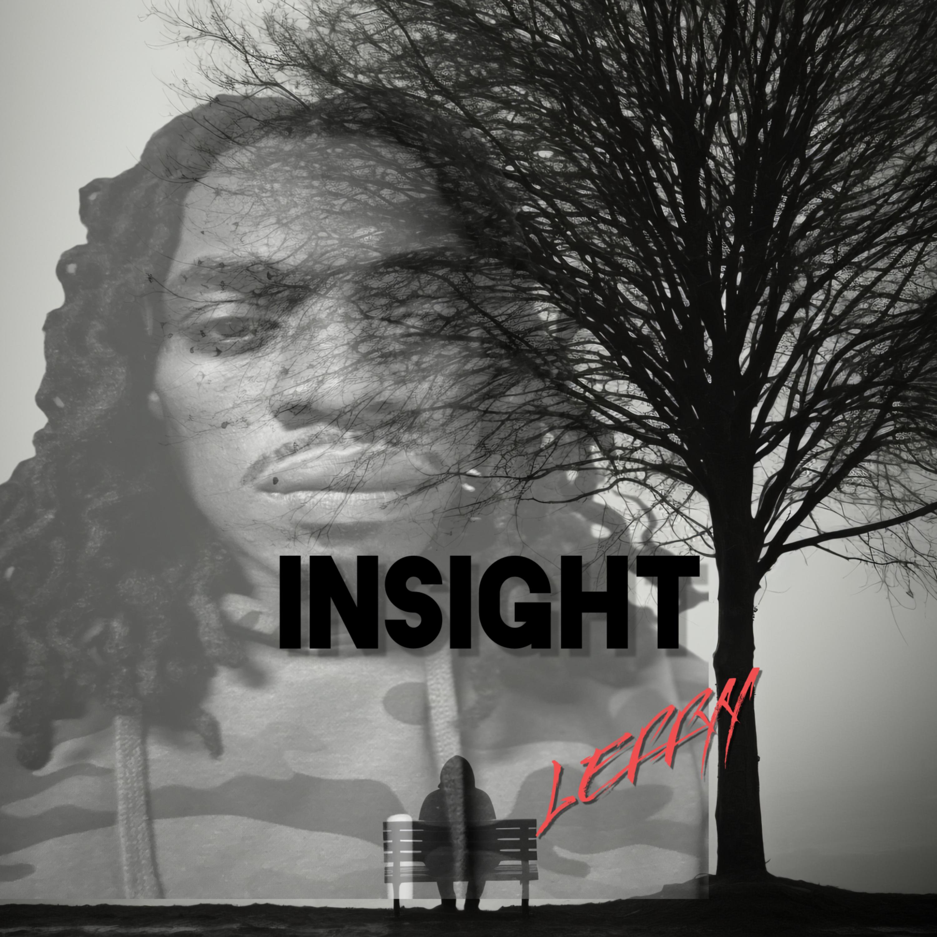 INSIGHT artwork