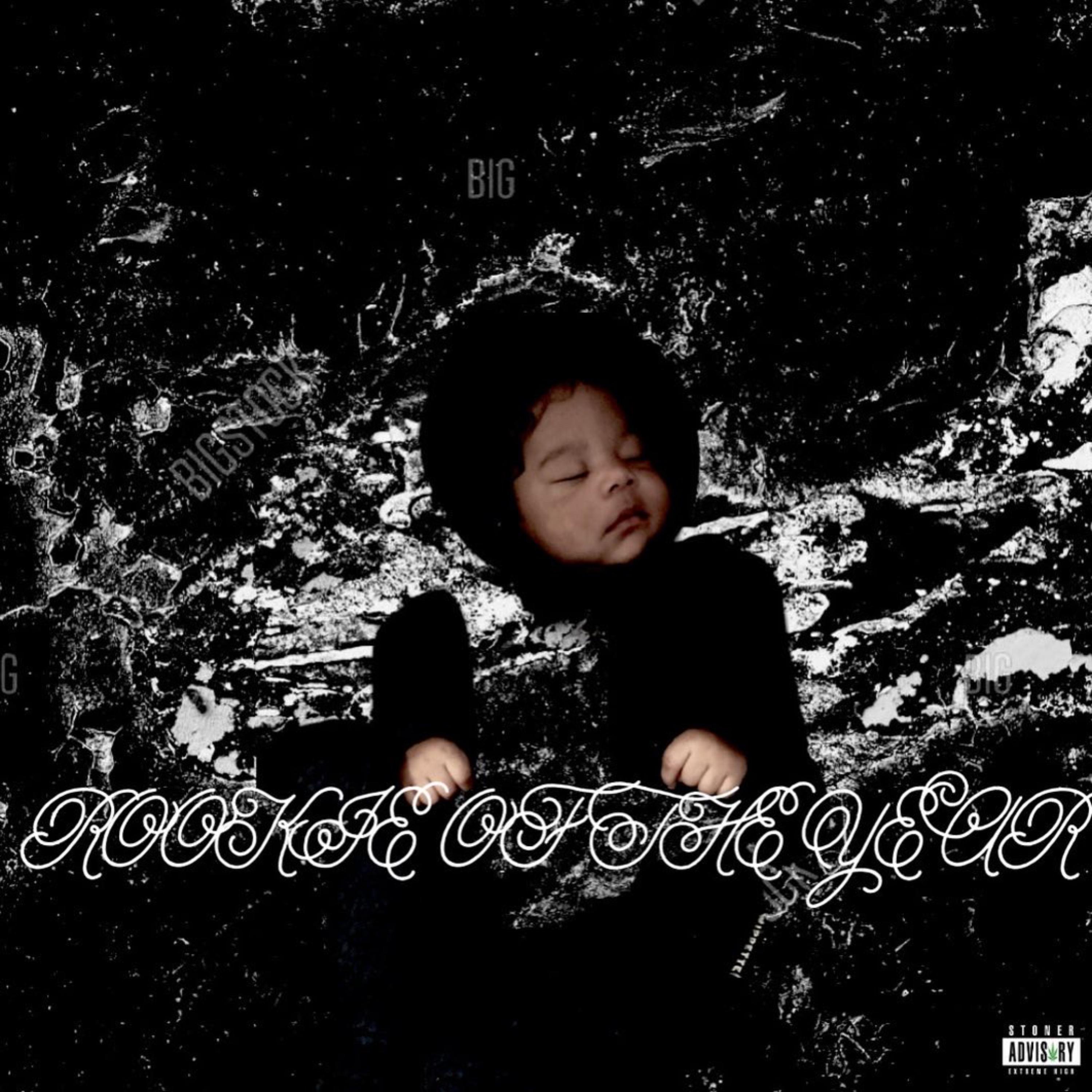 ROOKIE OF THE YEAR artwork