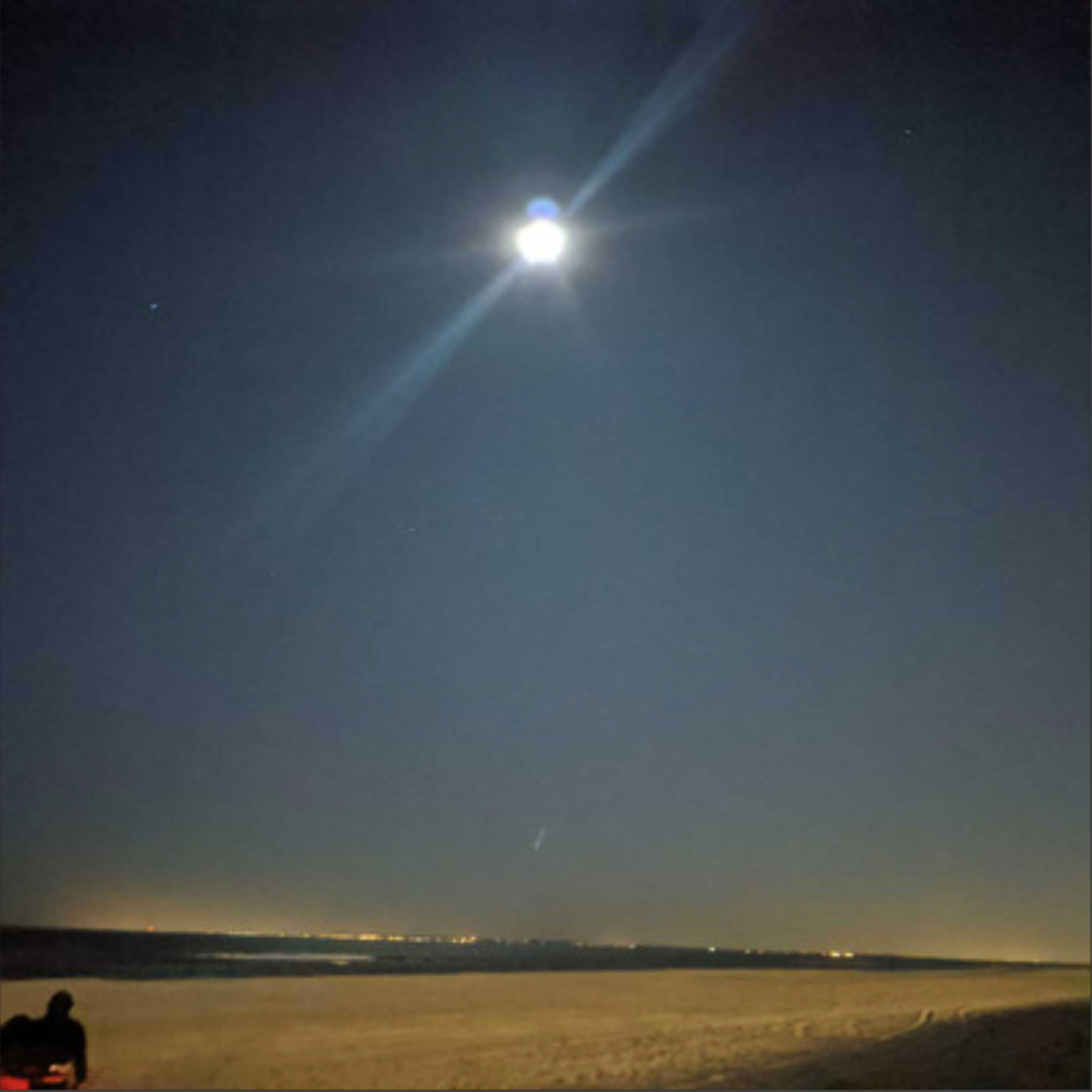 MoonLight by Ronald Bass cover art
