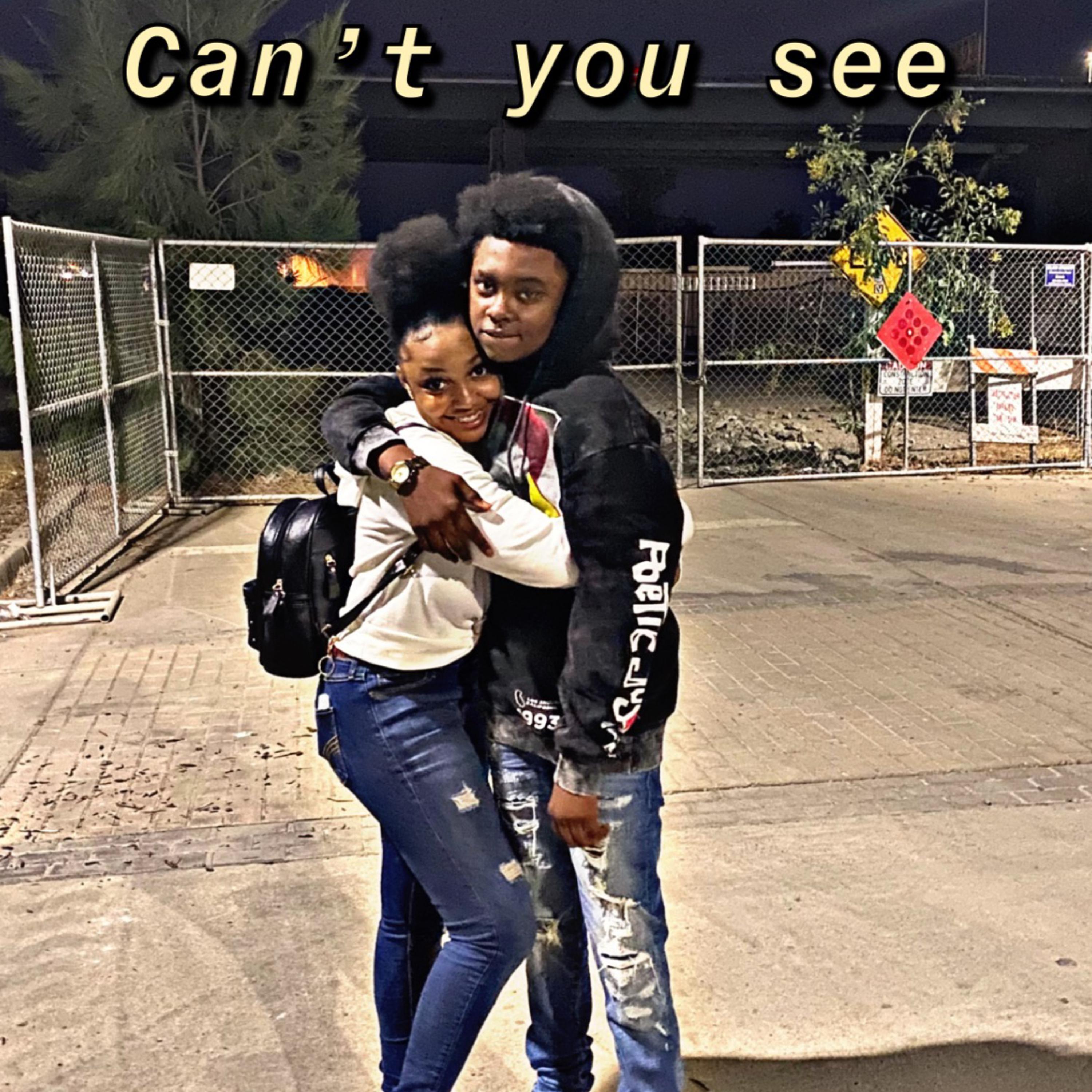 Can't you See artwork