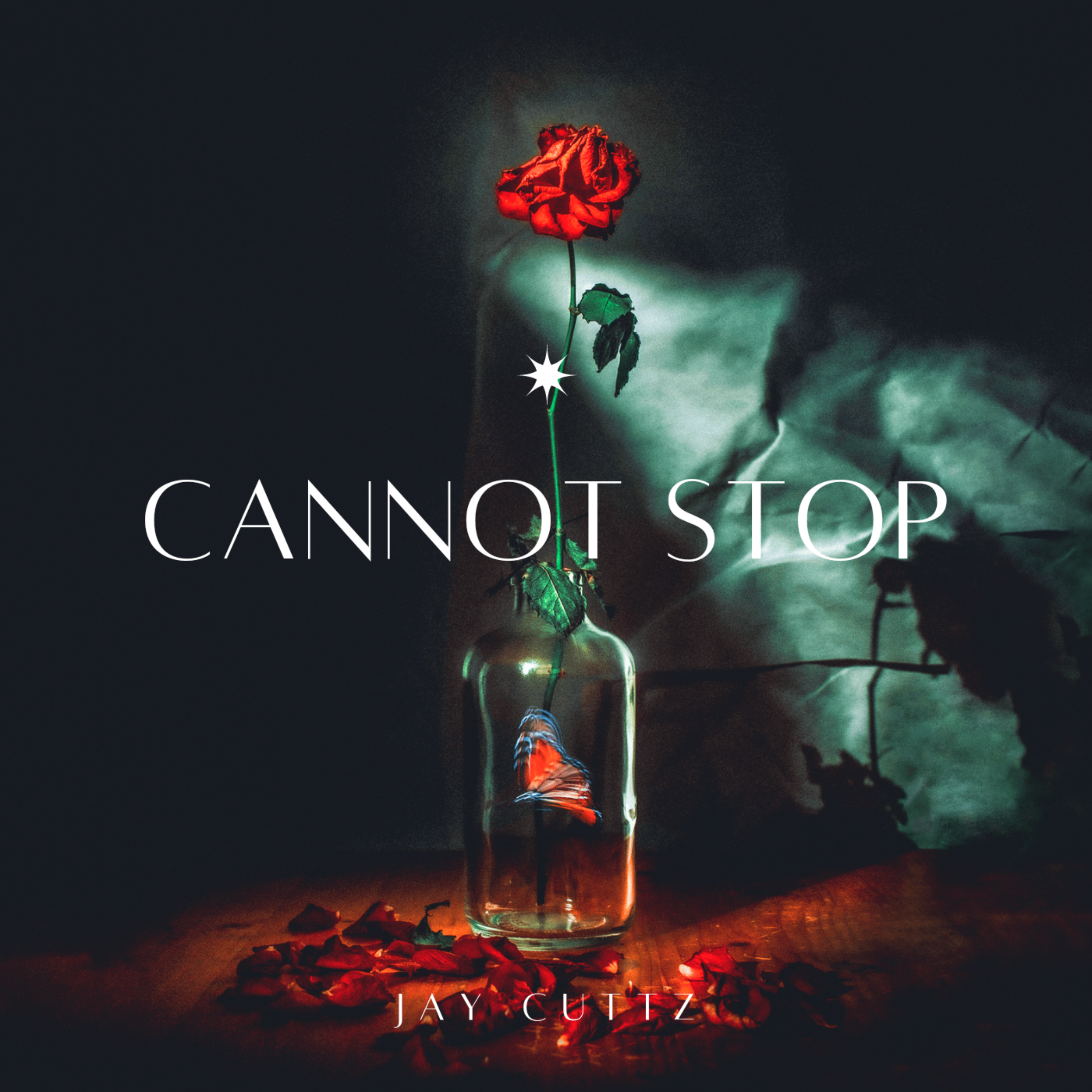 Cannot Stop artwork