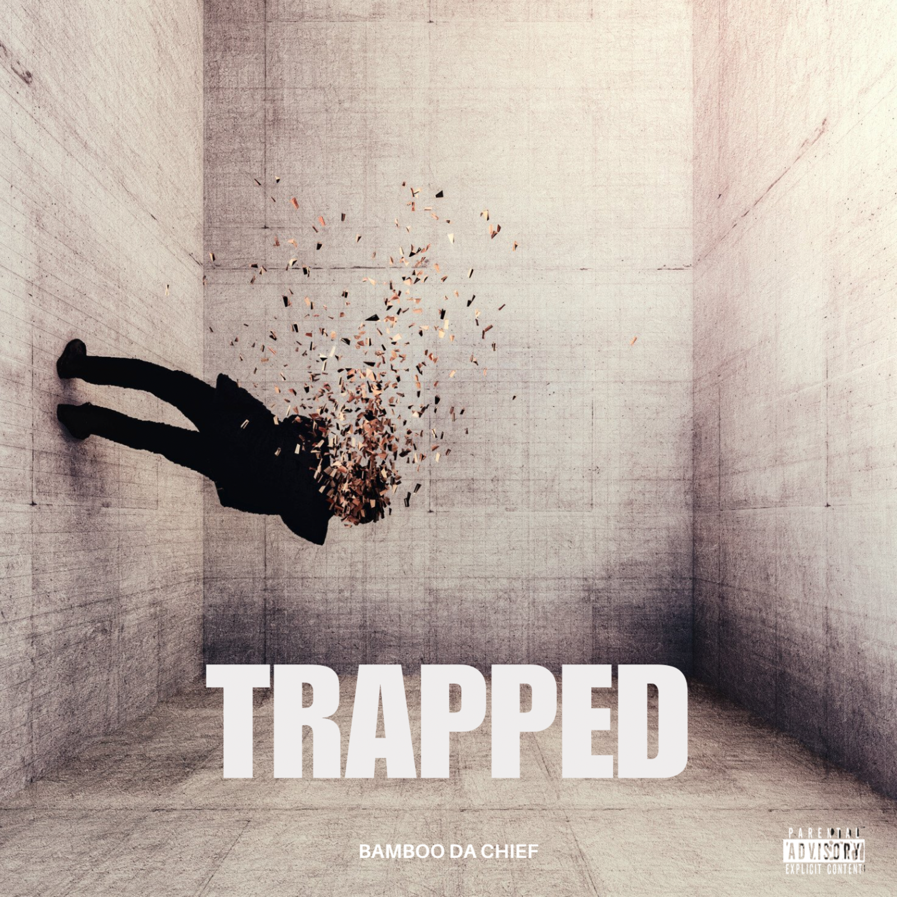 Trapped artwork